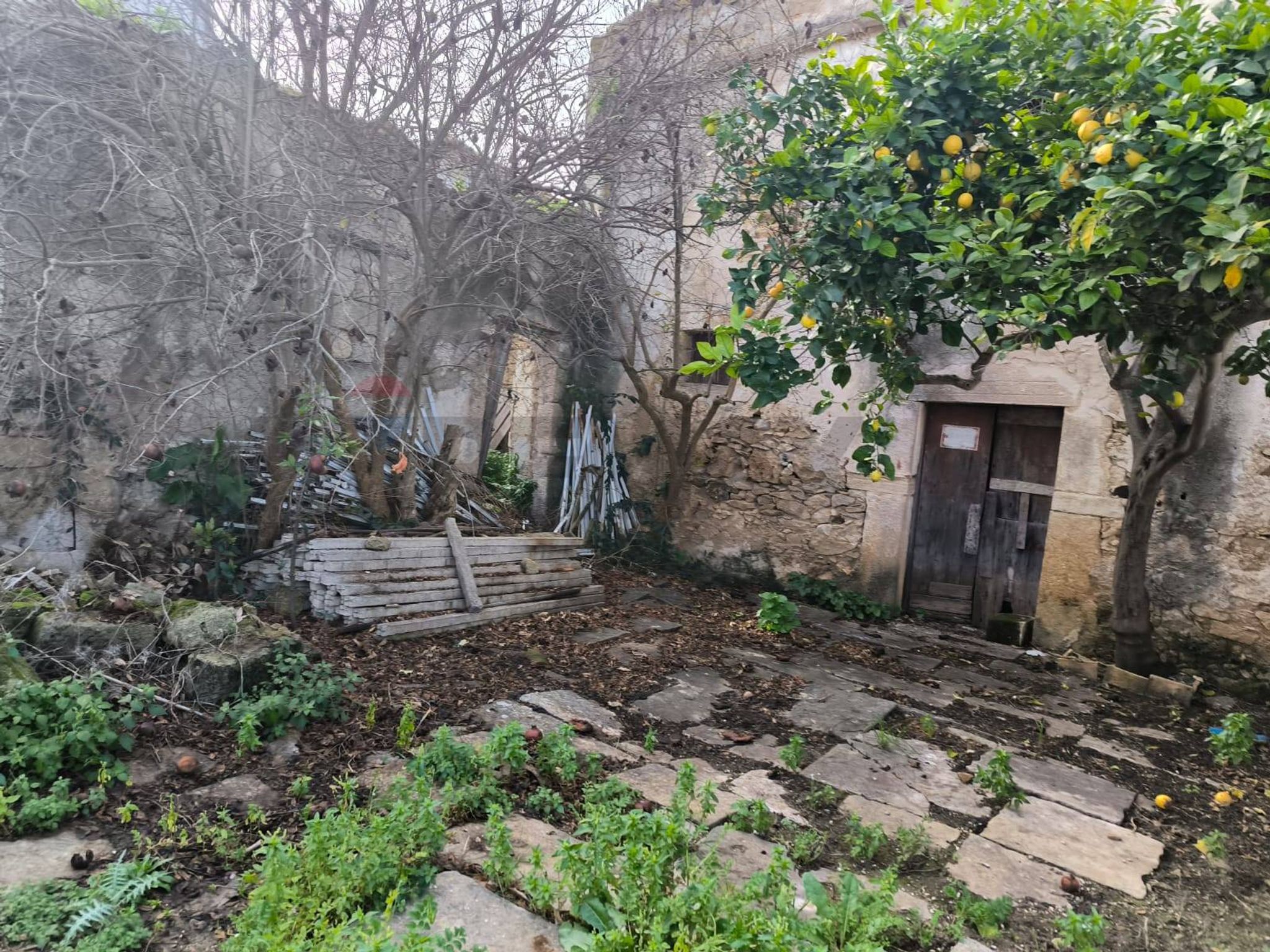 Giardino