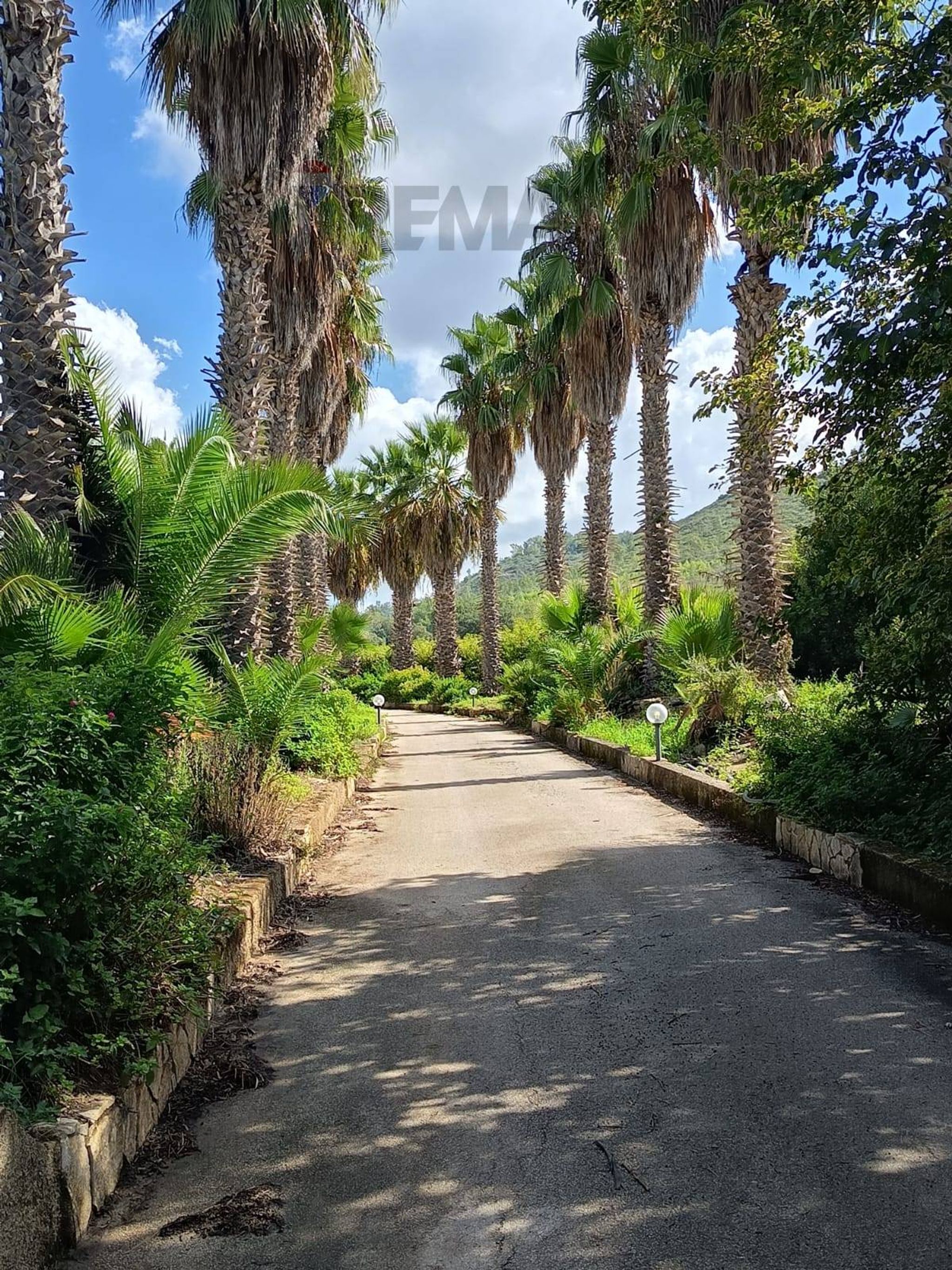 Giardino
