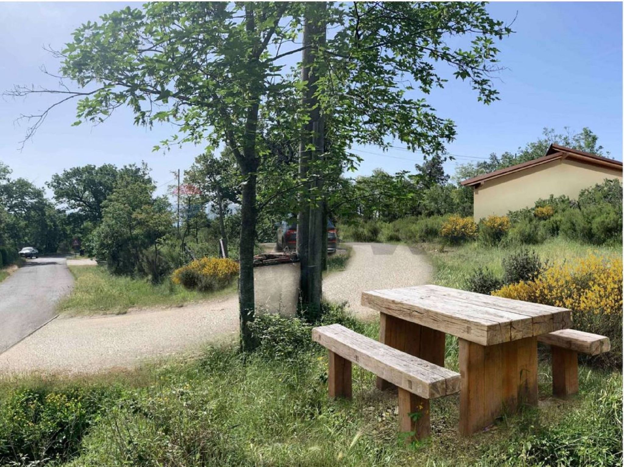 Giardino
