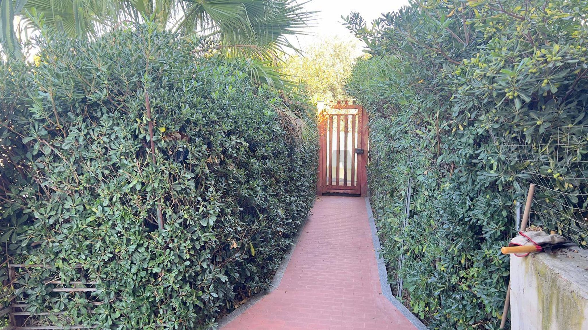 Giardino