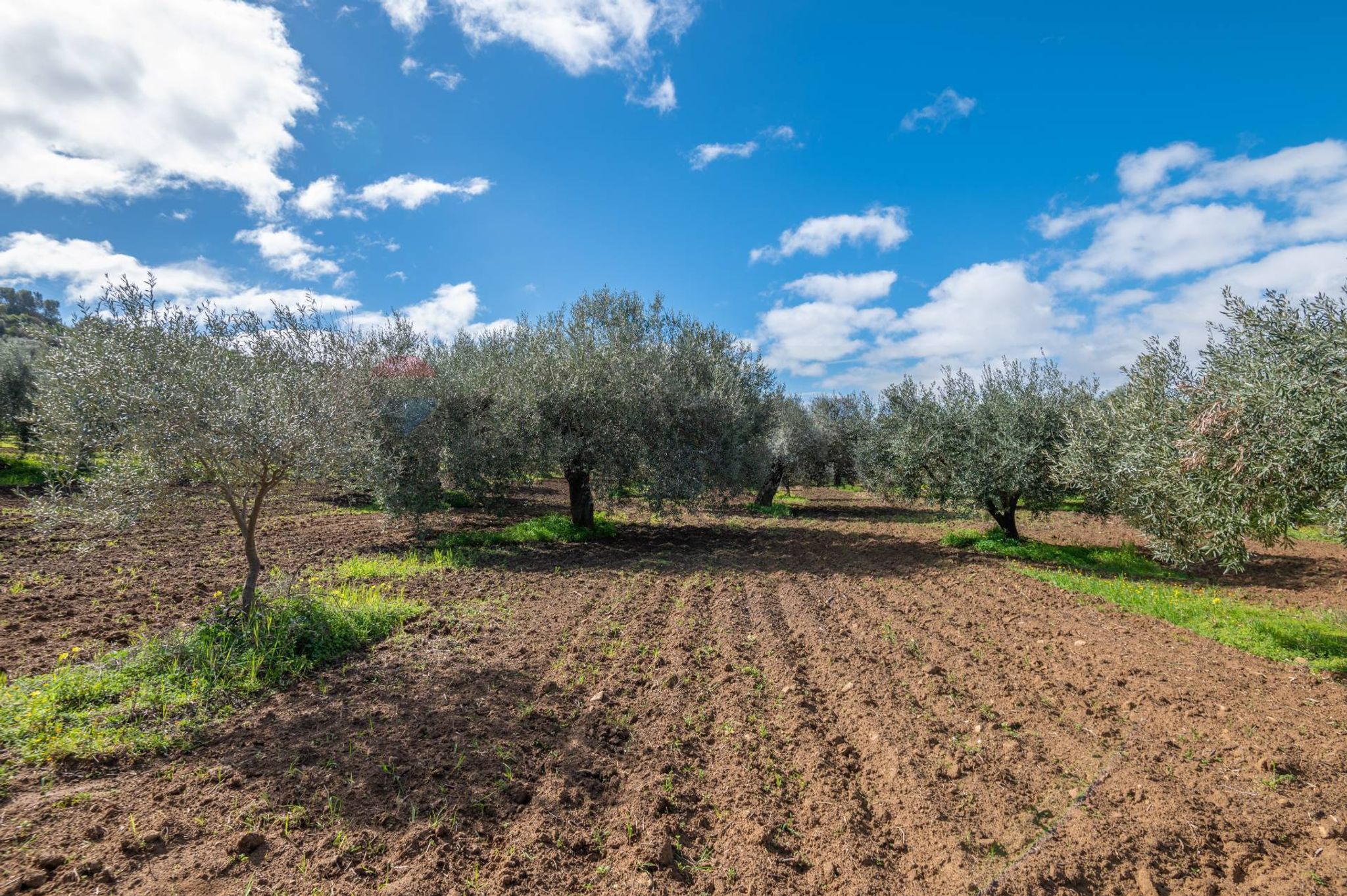 Immobile a Caltagirone