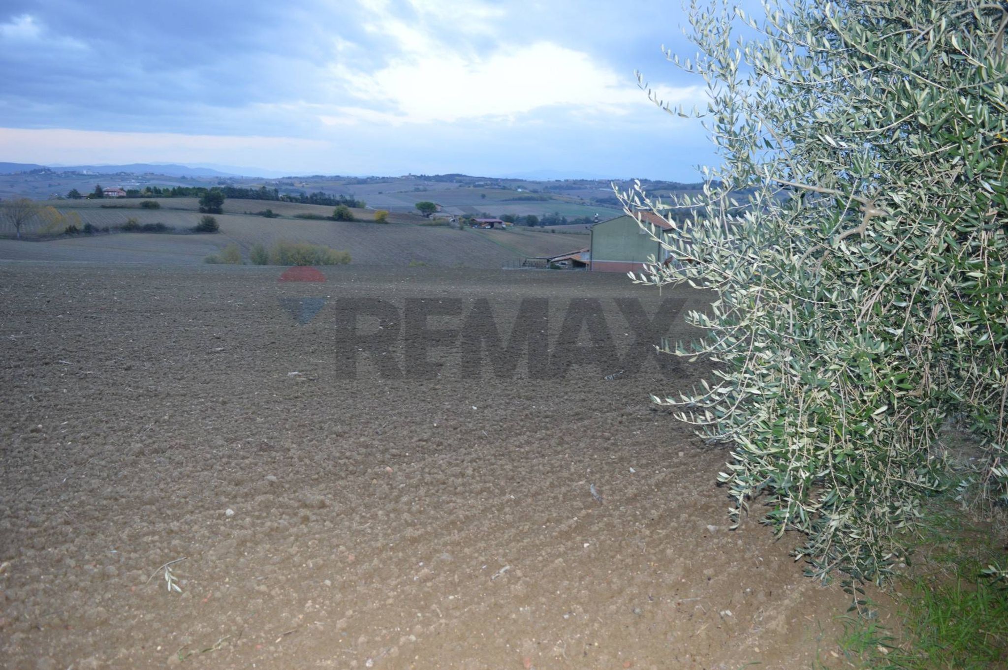 Vista dell'acqua