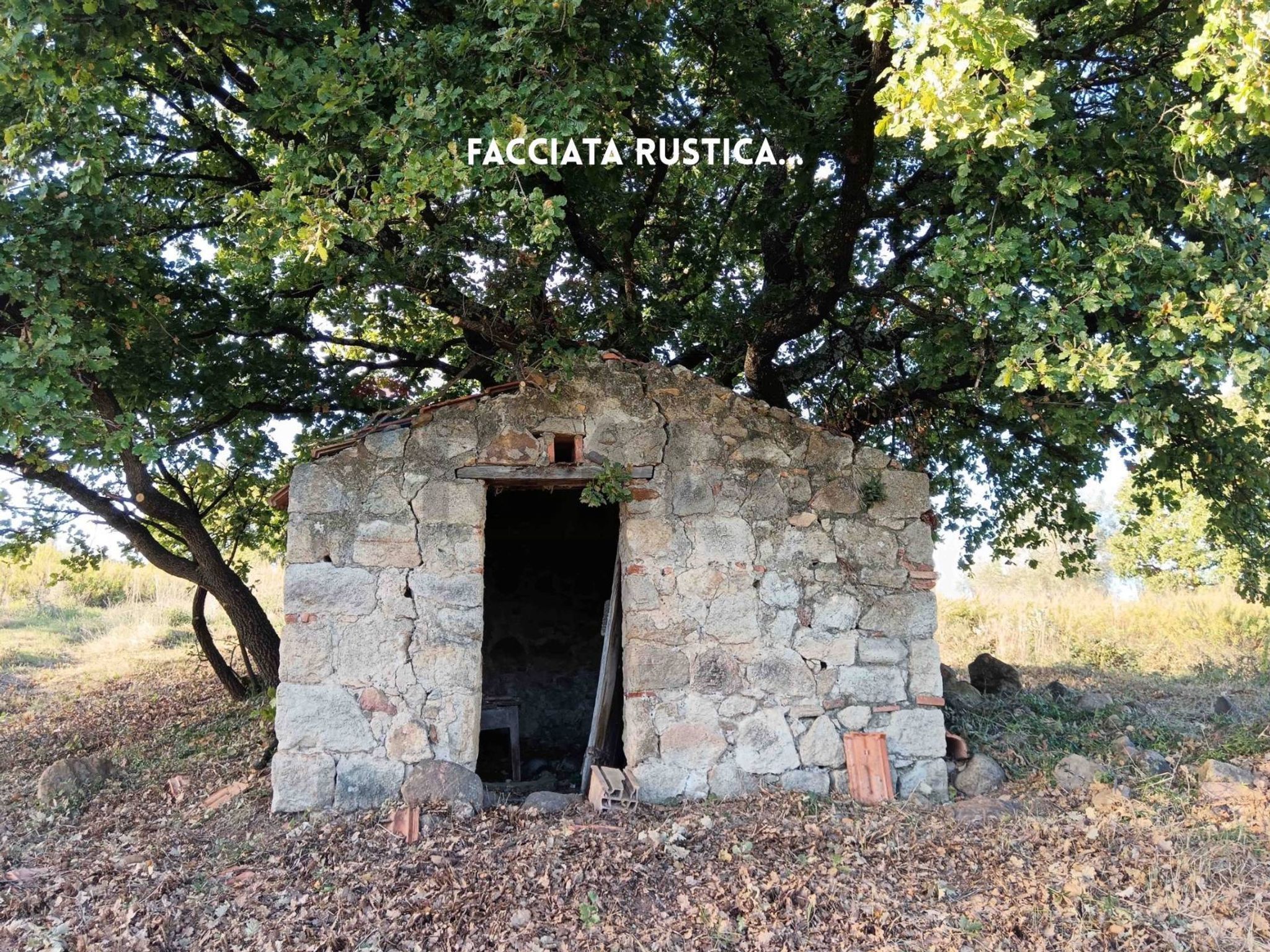 Immobile a Roccastrada