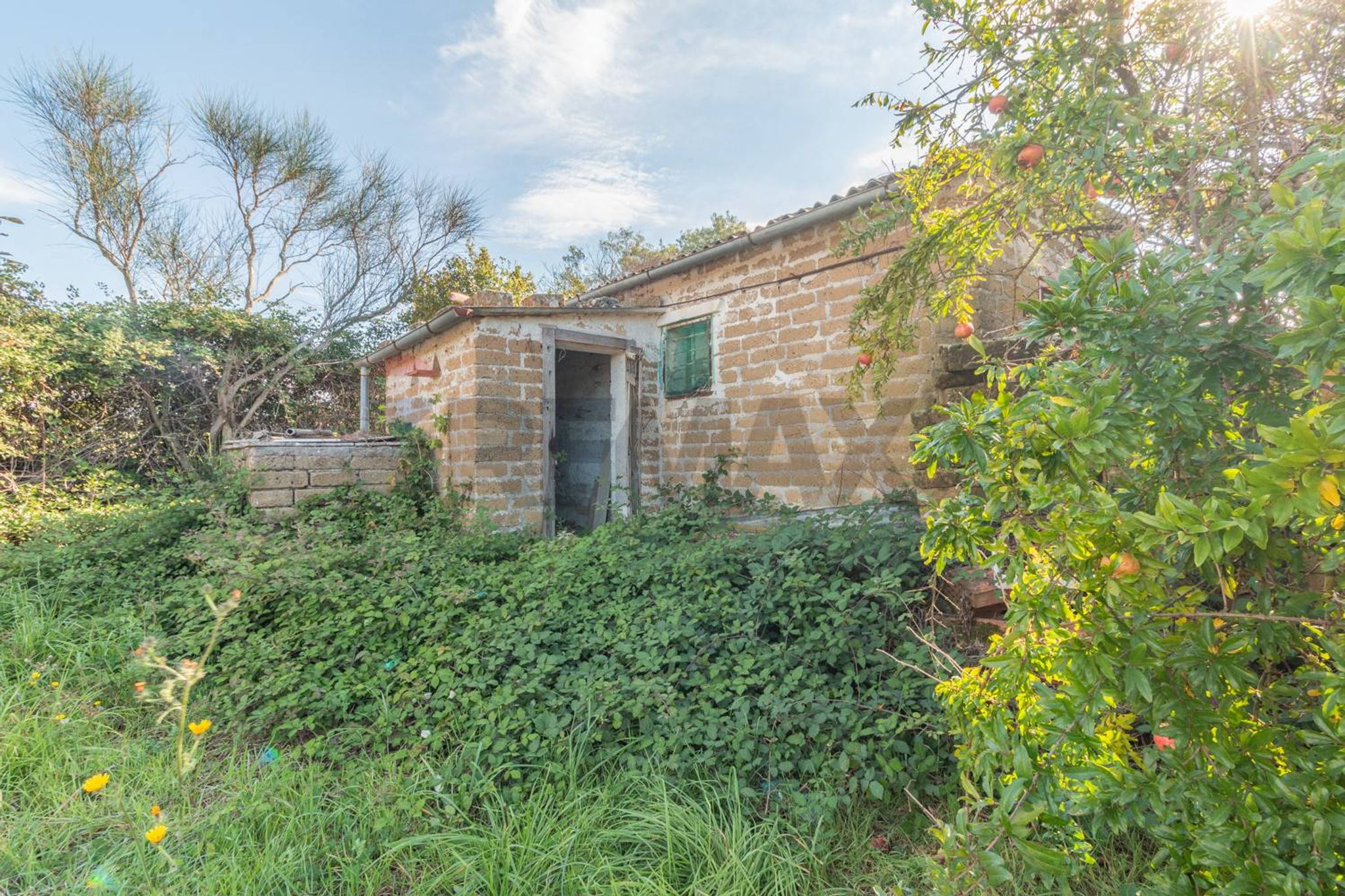 Property in Ischia di Castro