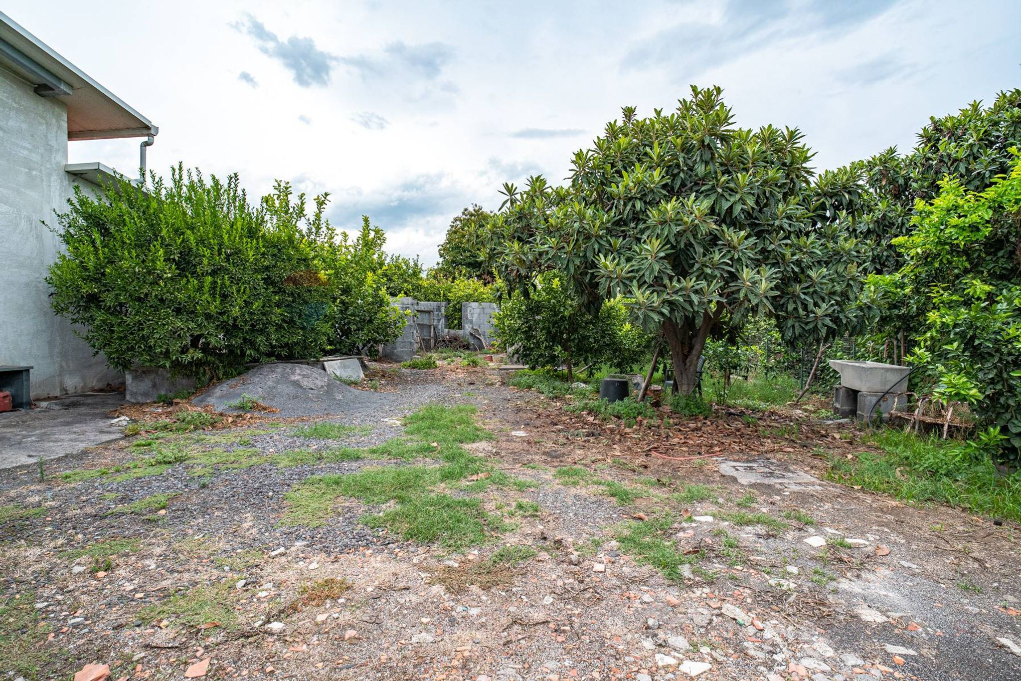 Giardino