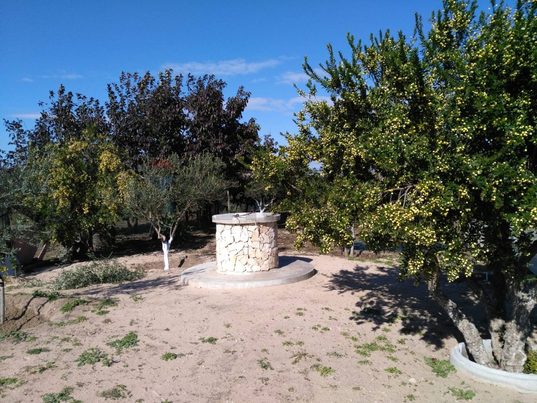 Giardino