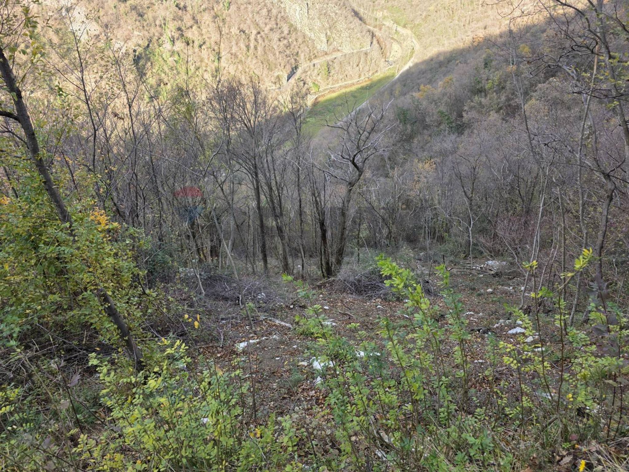 Vista delle montagne