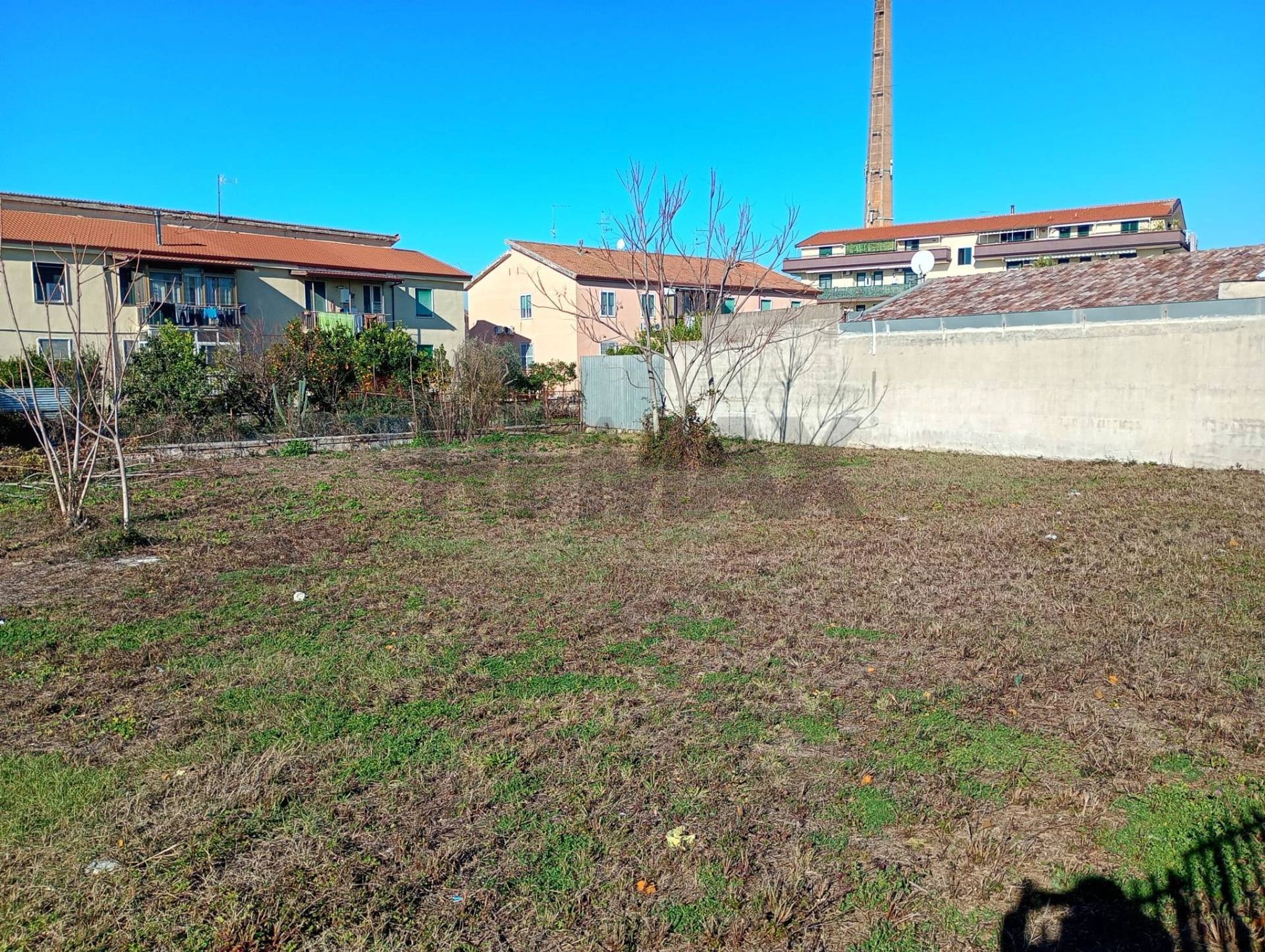 Giardino