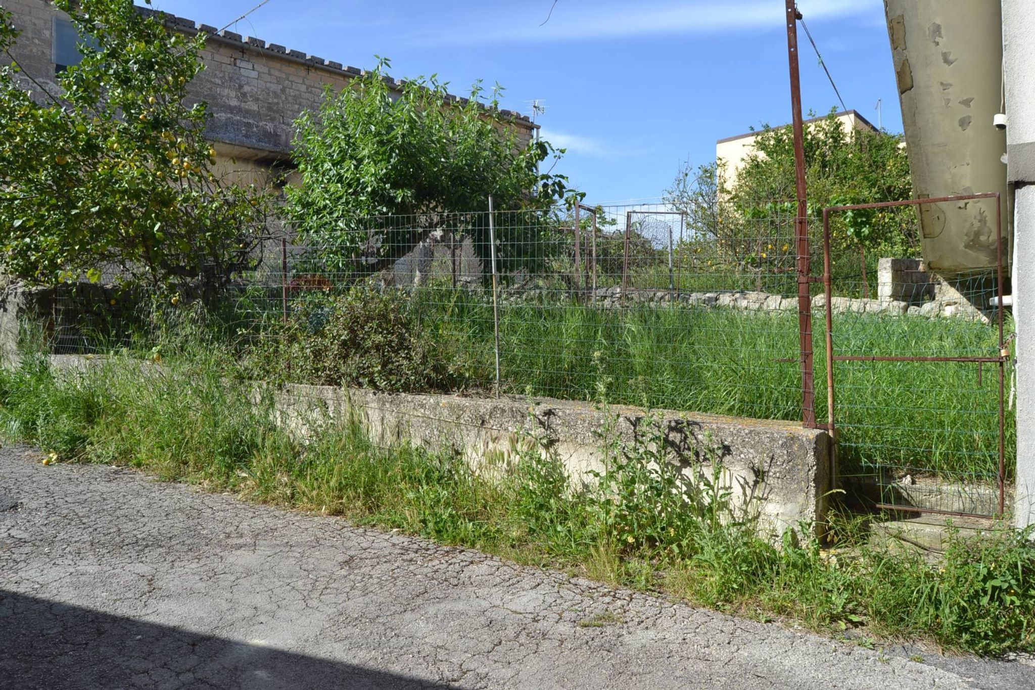 Giardino