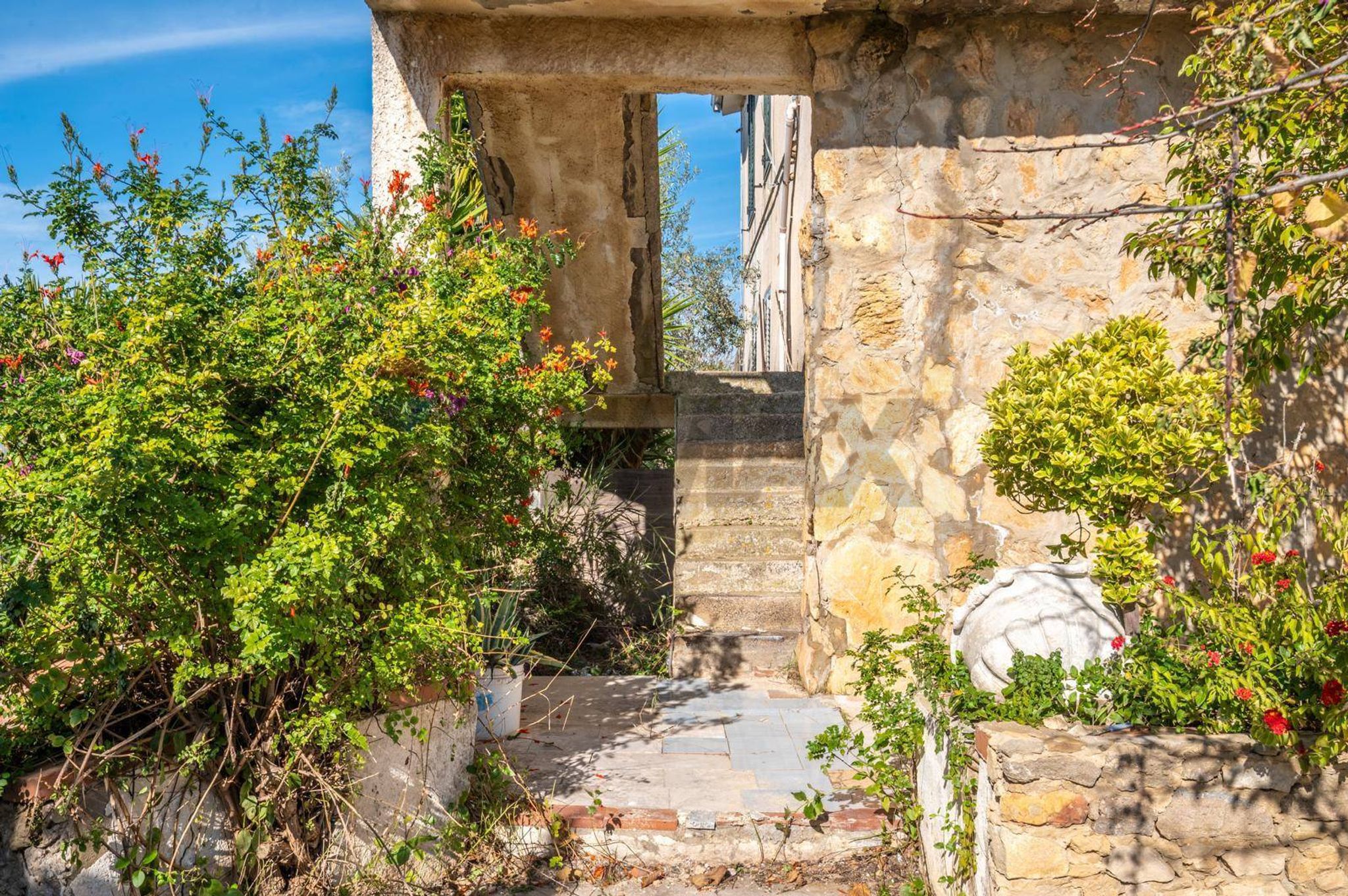Giardino