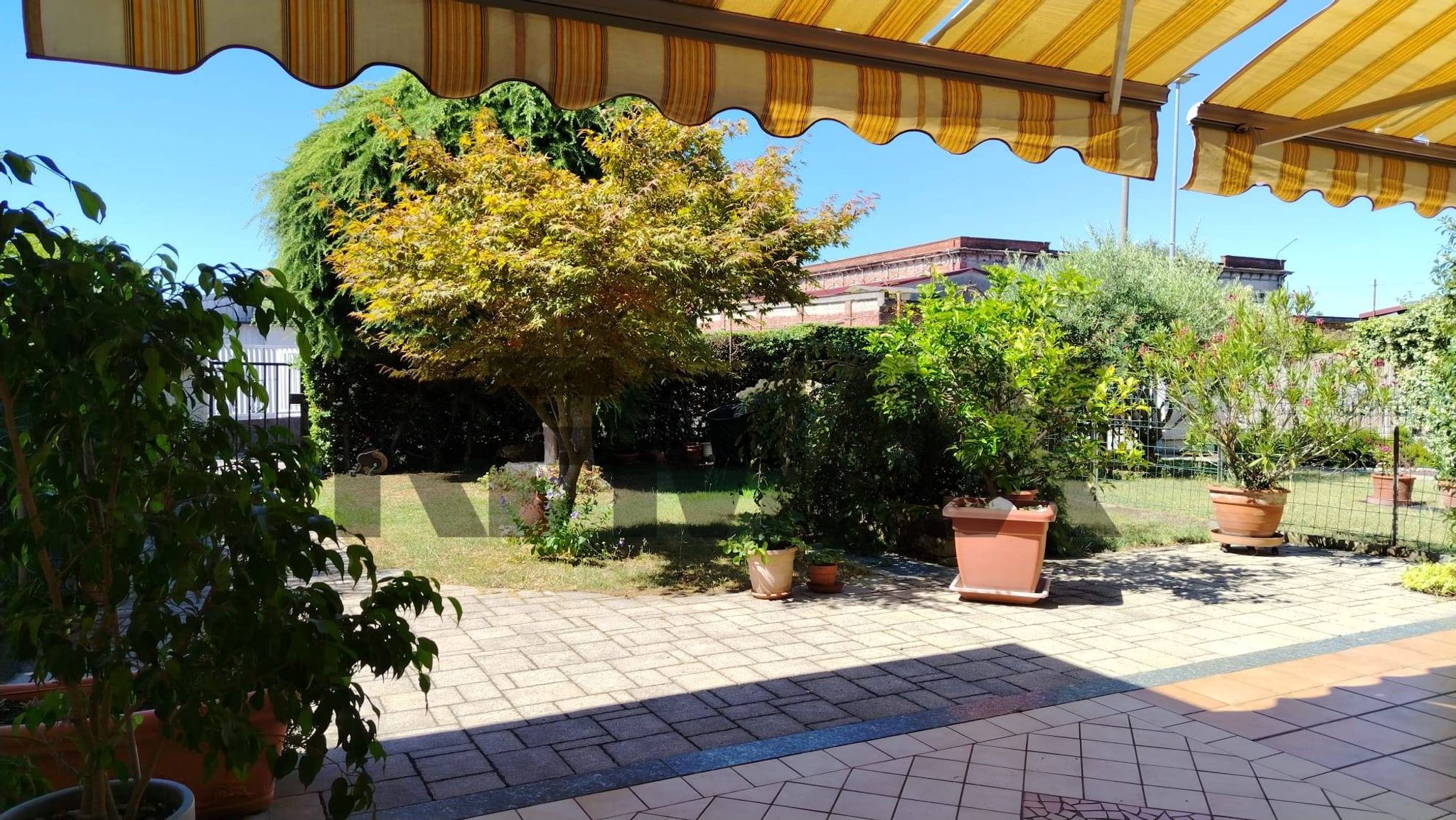 Terrazza