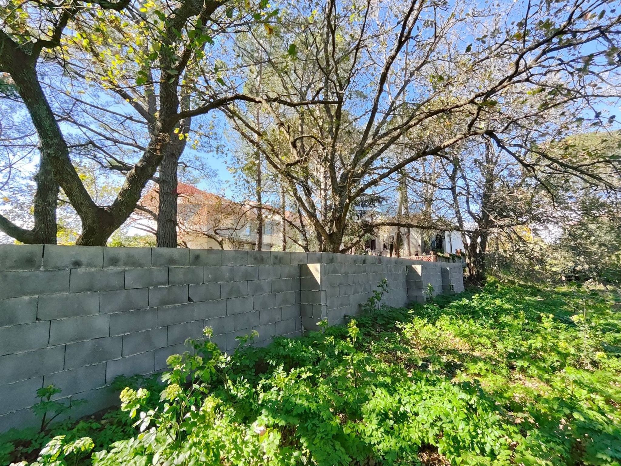 Giardino