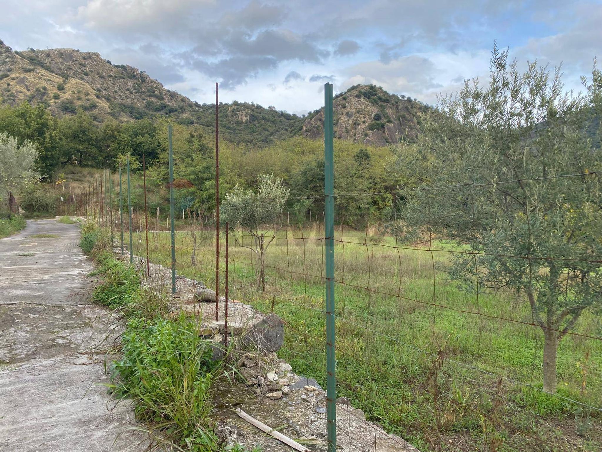 Vista delle montagne