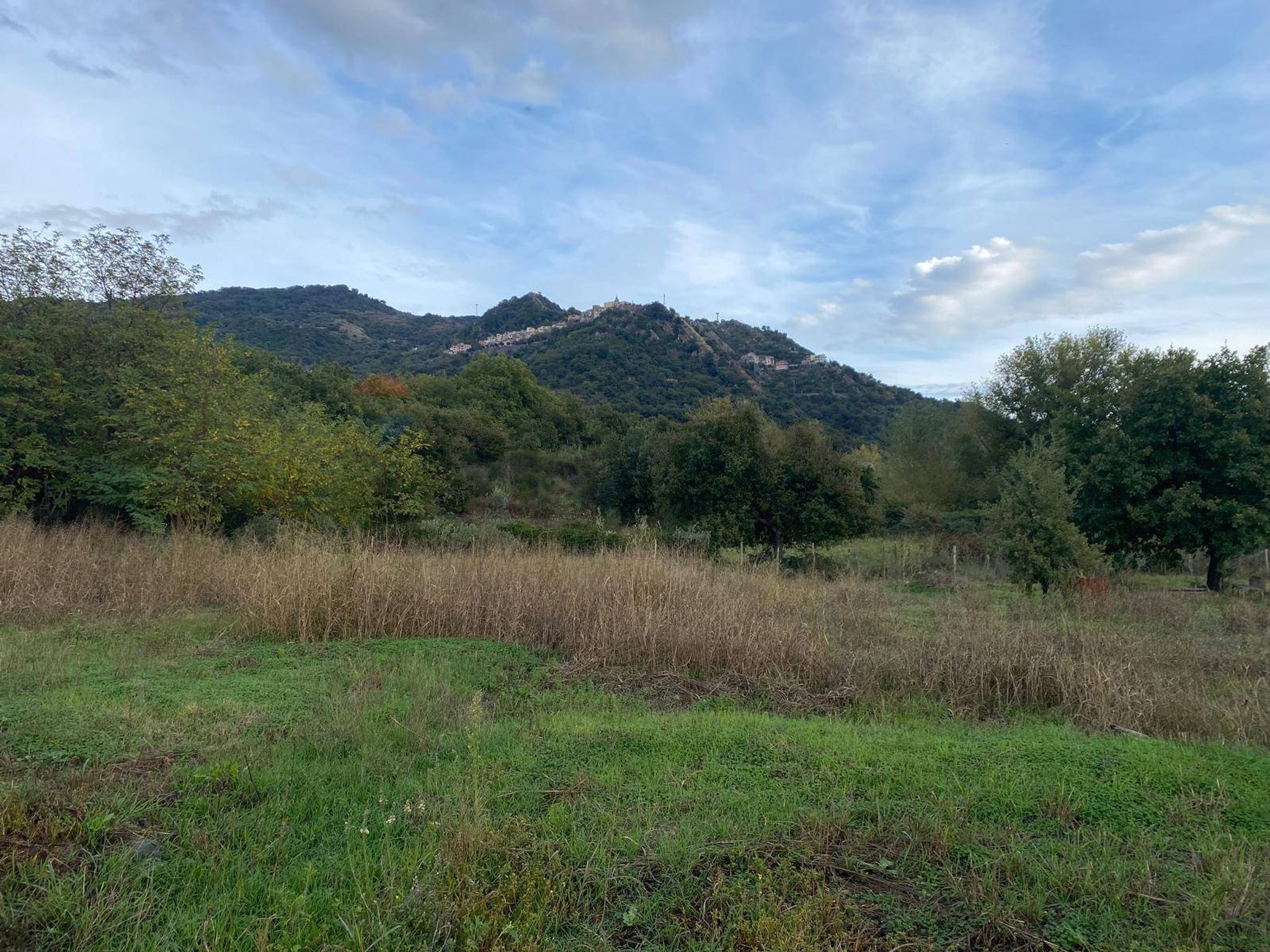 Property in Francavilla di Sicilia