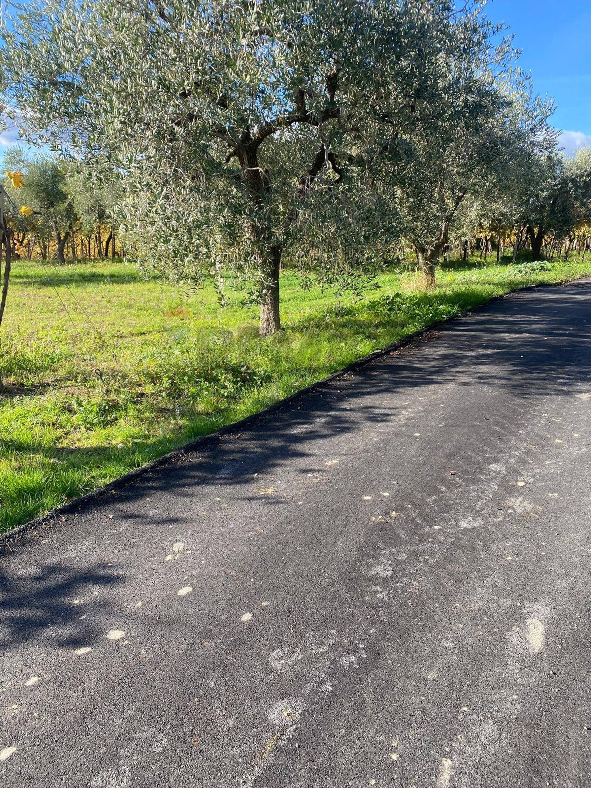 Property in Tollo