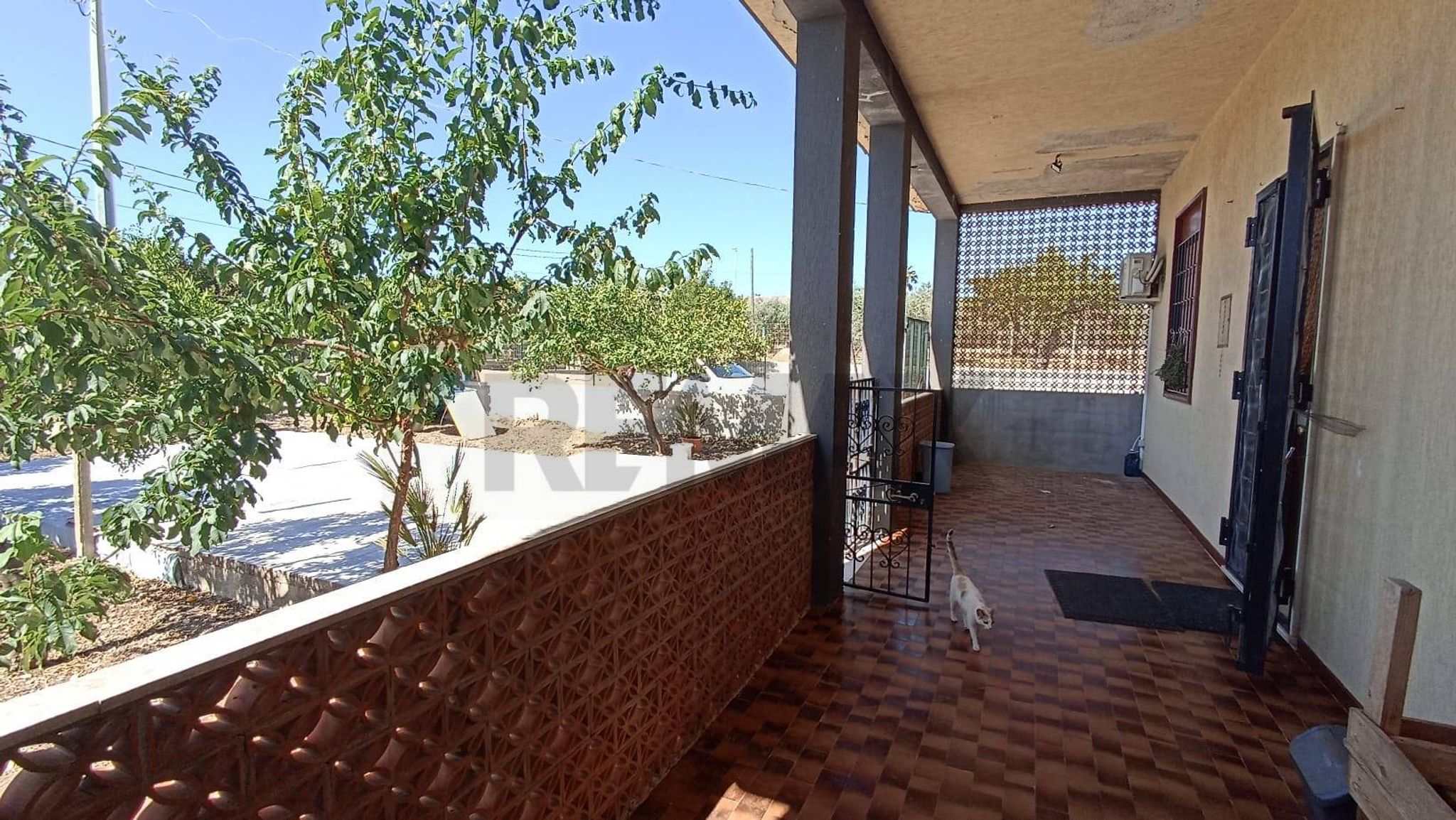 Balcone