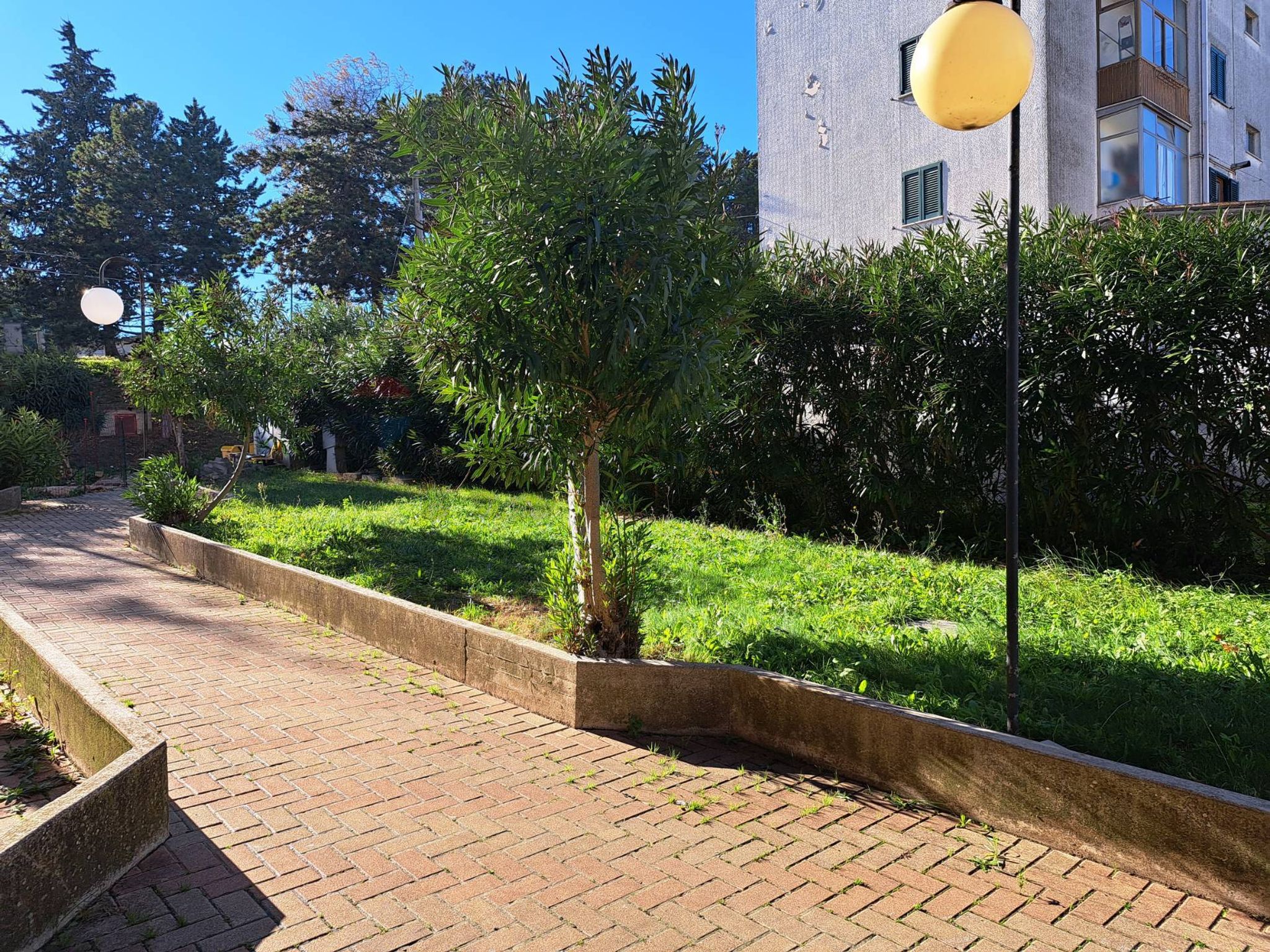 Giardino