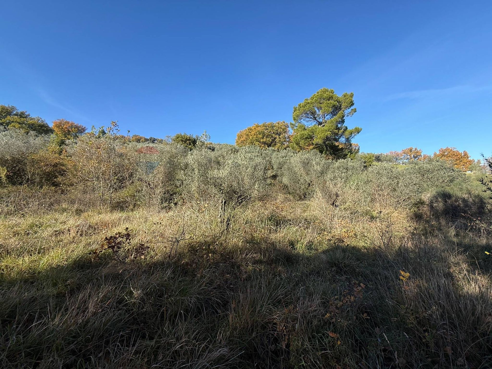 Vista delle montagne
