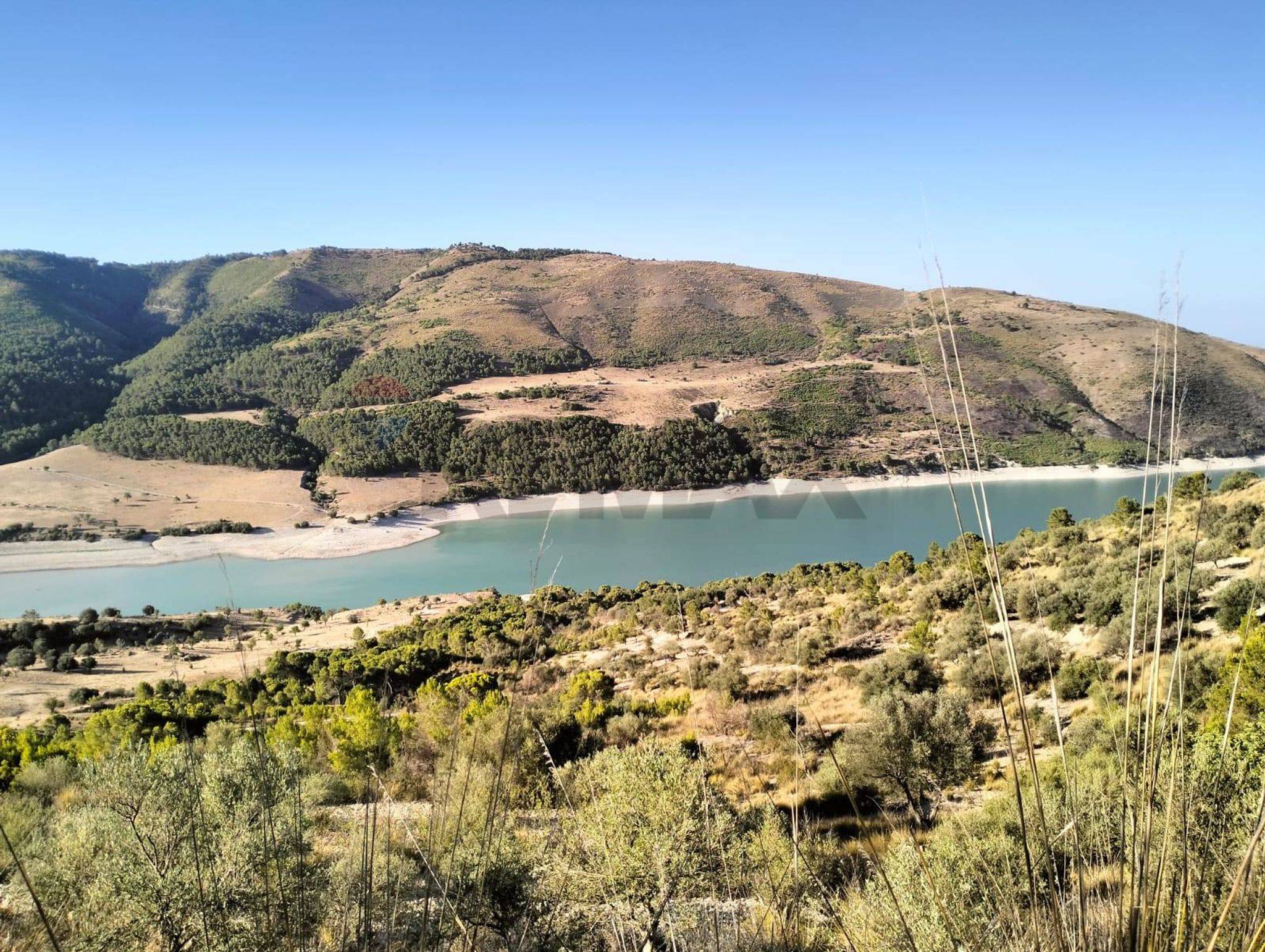 Vista dell'acqua