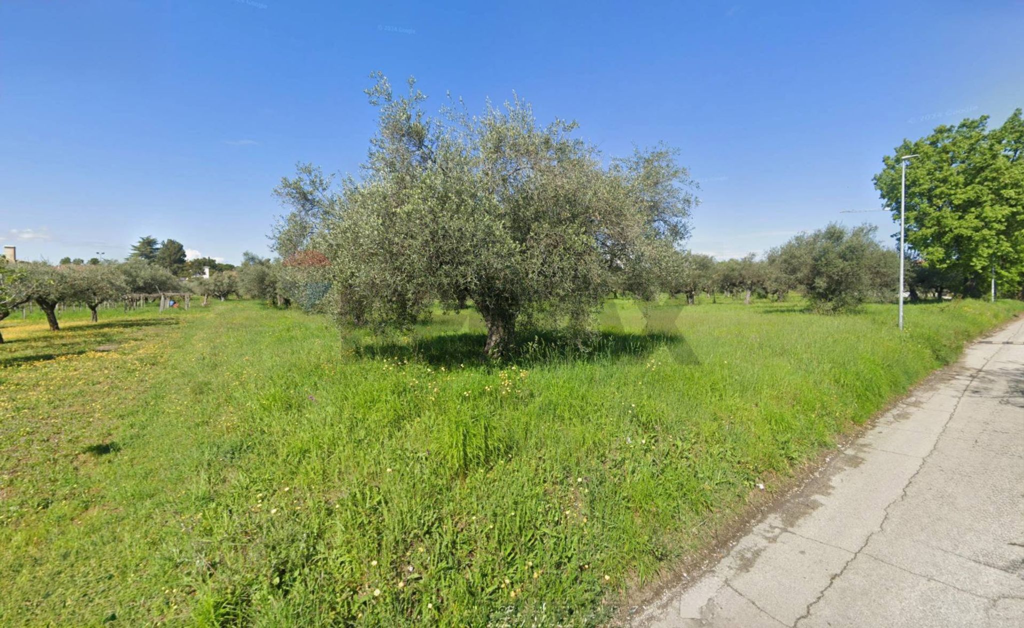 Giardino