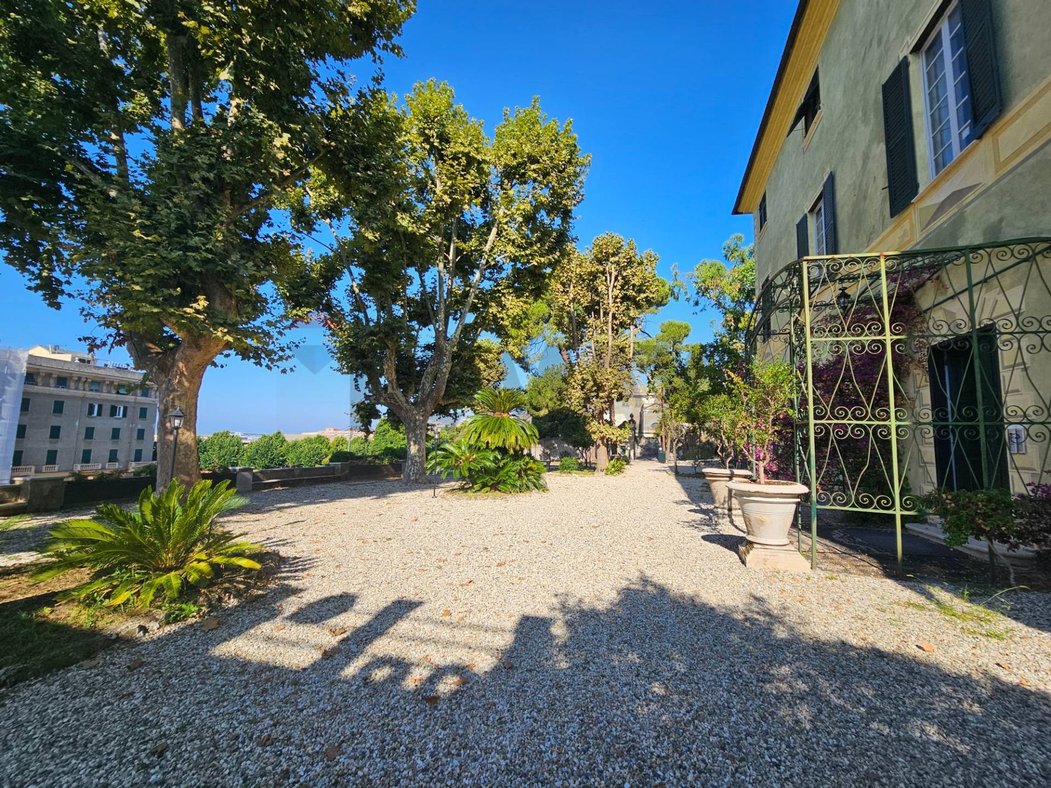 giardino