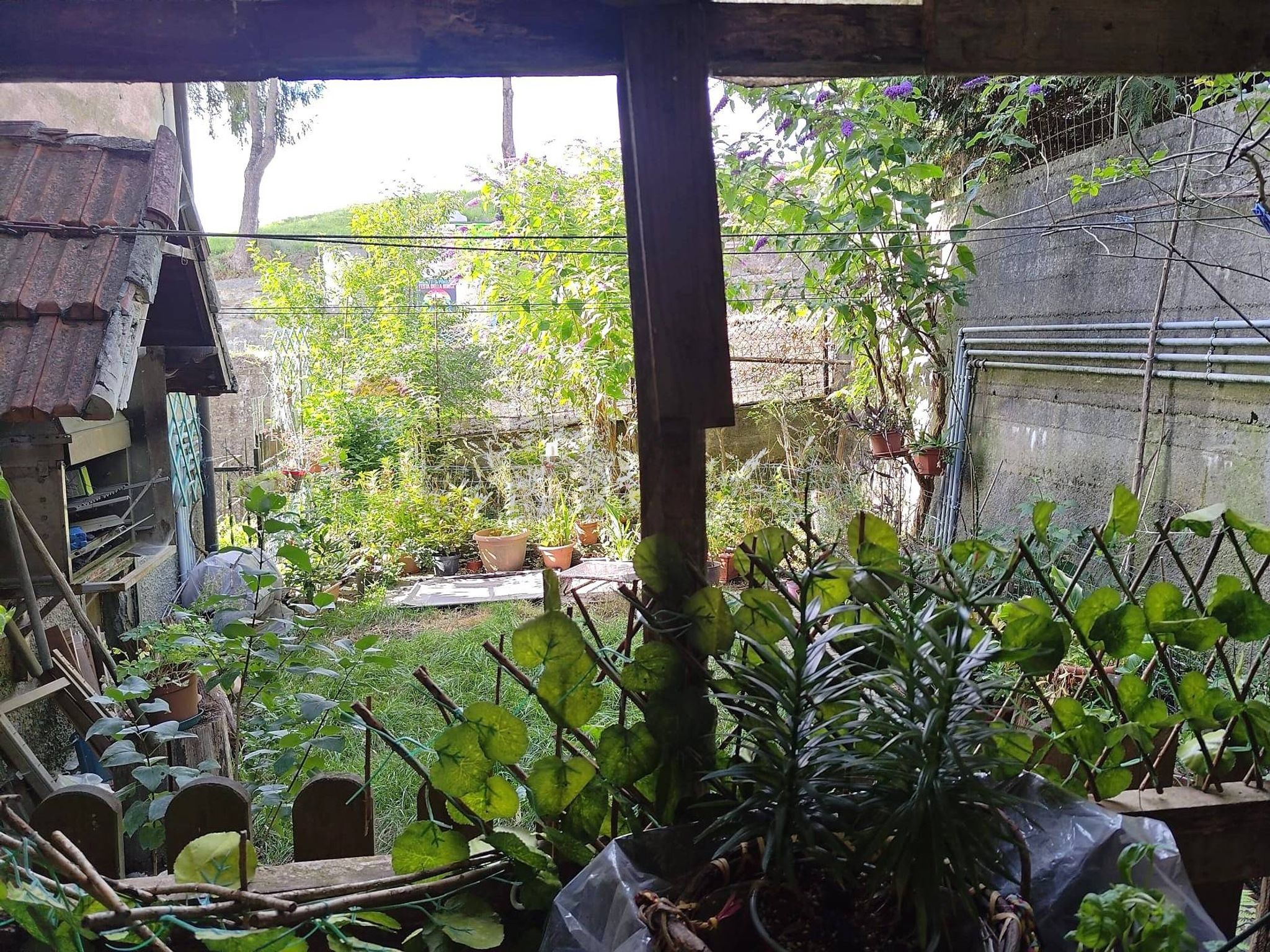 Giardino