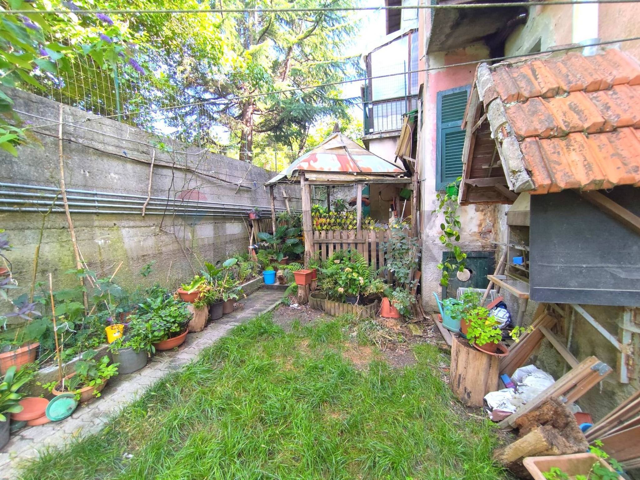 Giardino