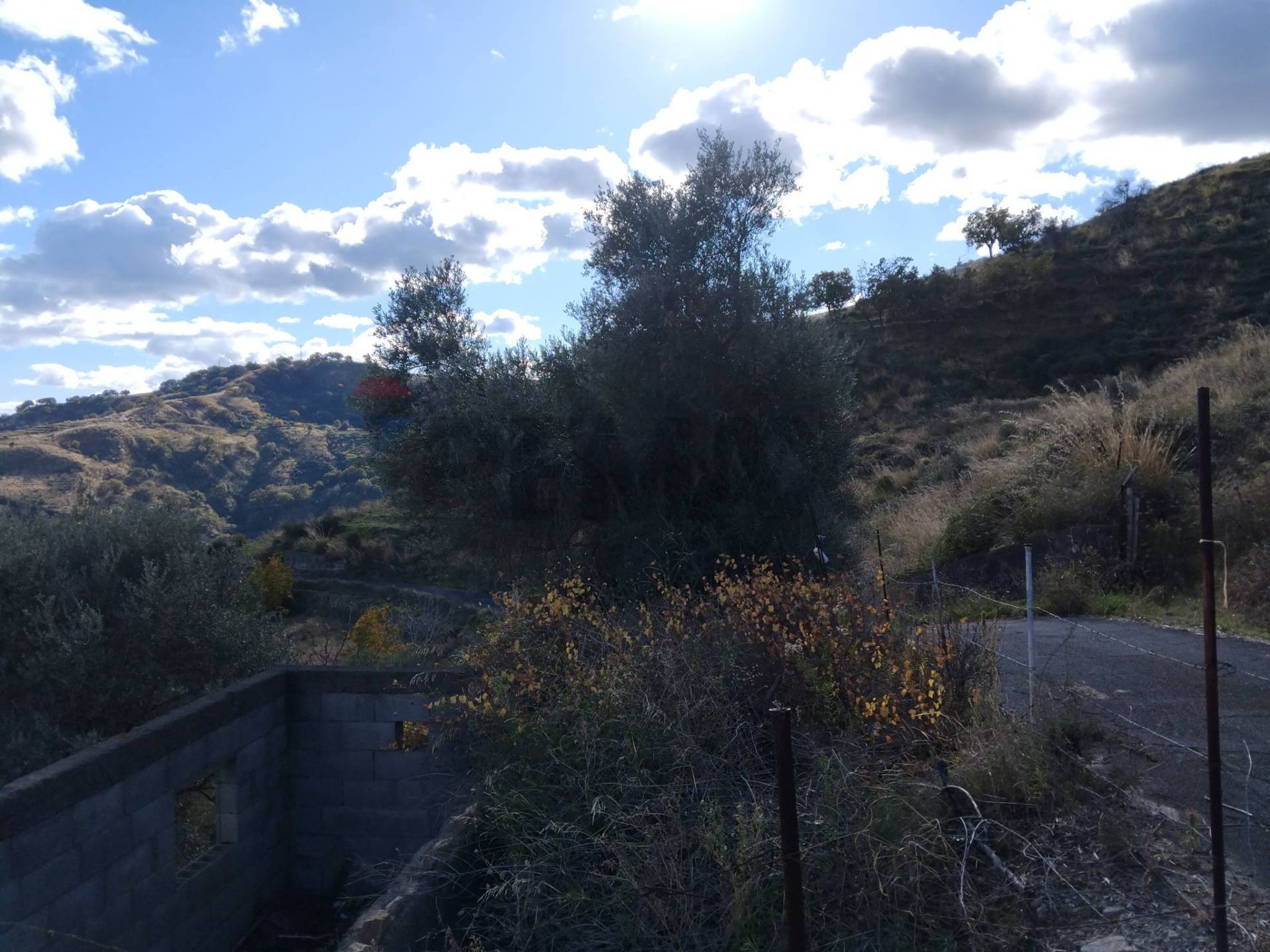 Vista delle montagne
