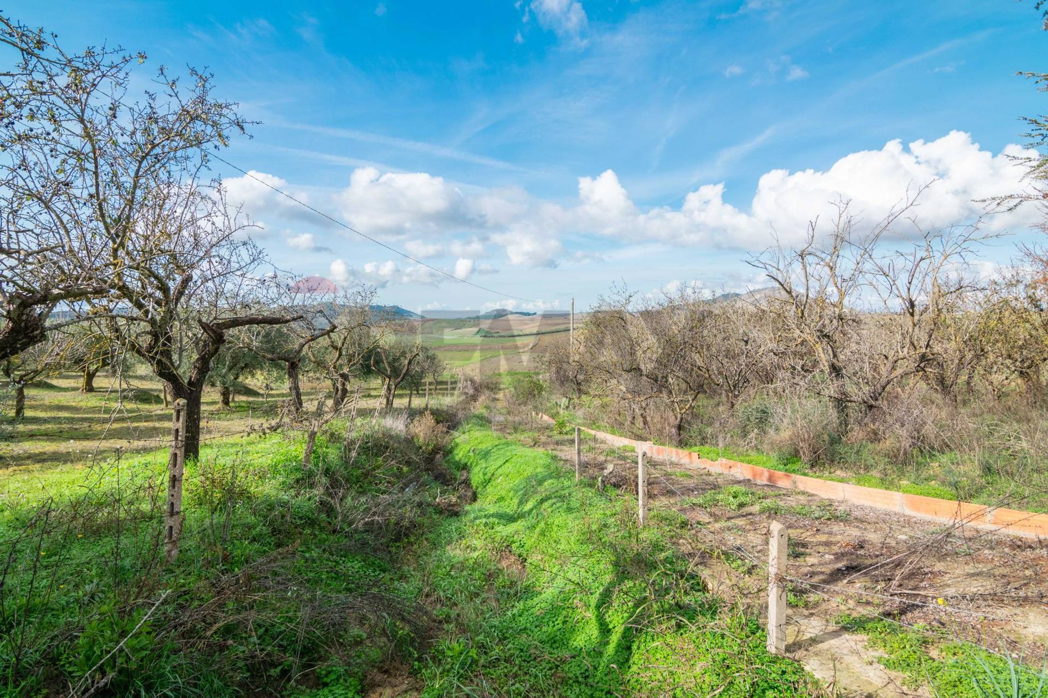 Vista delle montagne