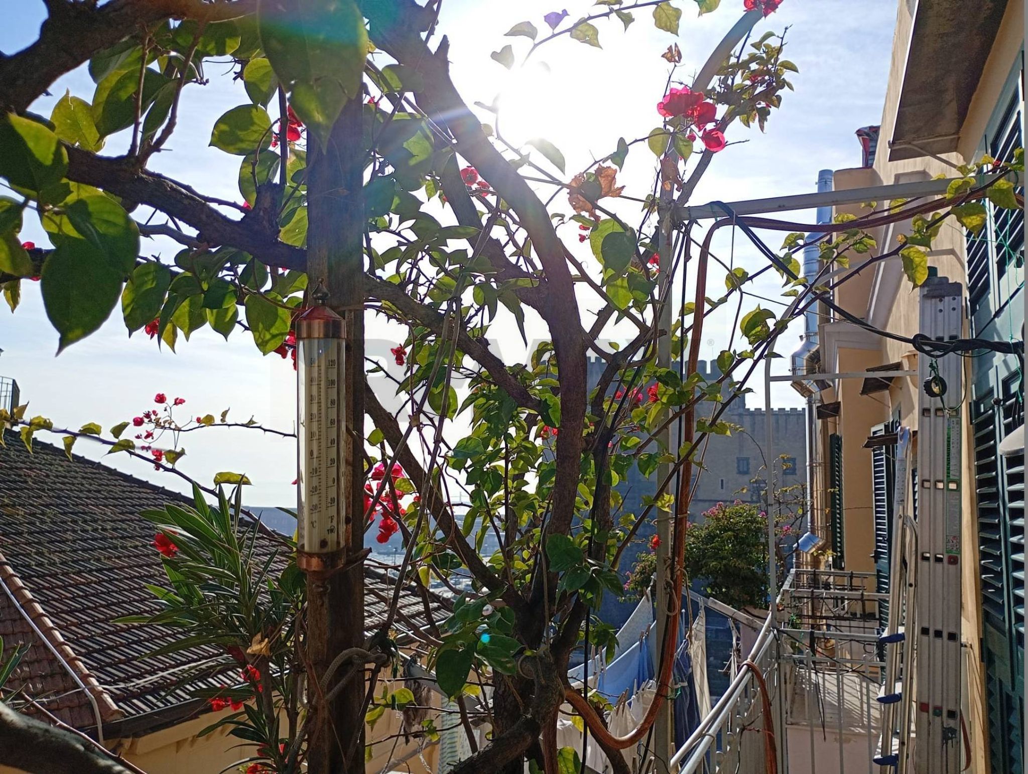 Edificio all'aperto