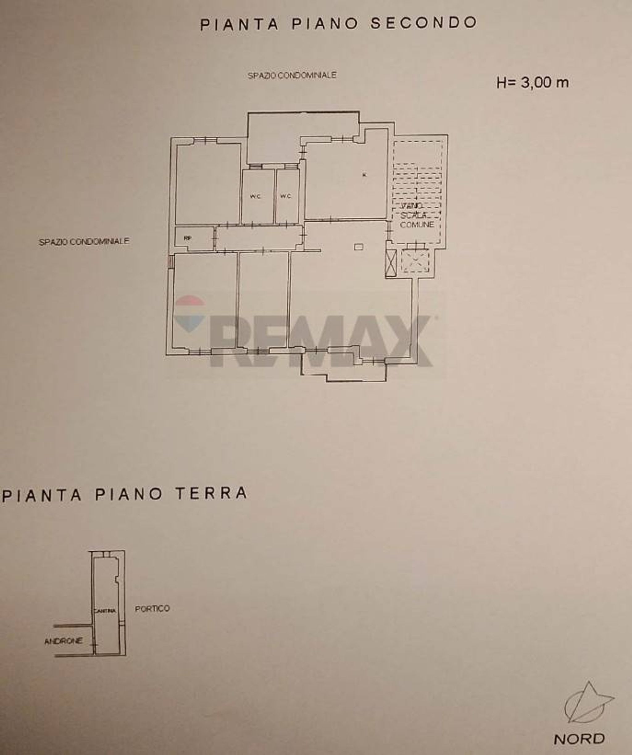 Pianta 2D