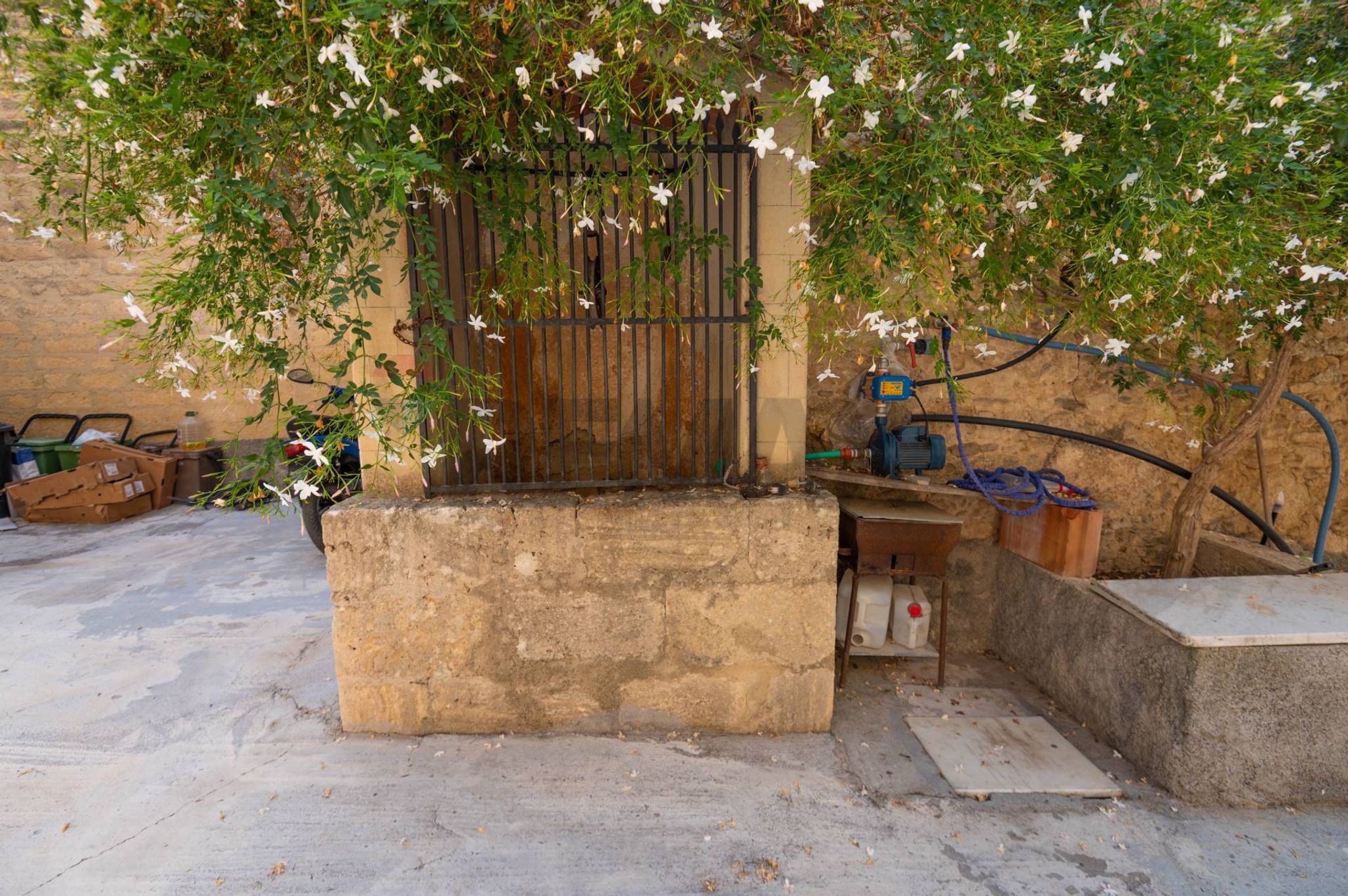 Giardino