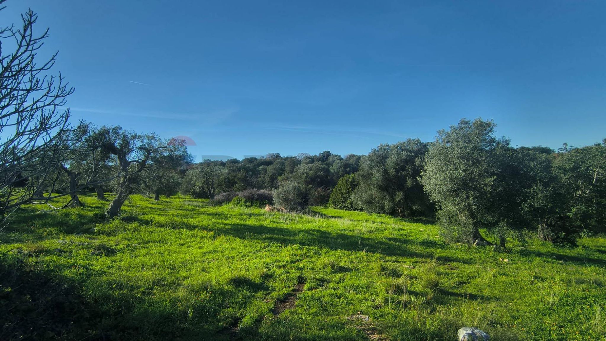 Vista delle montagne