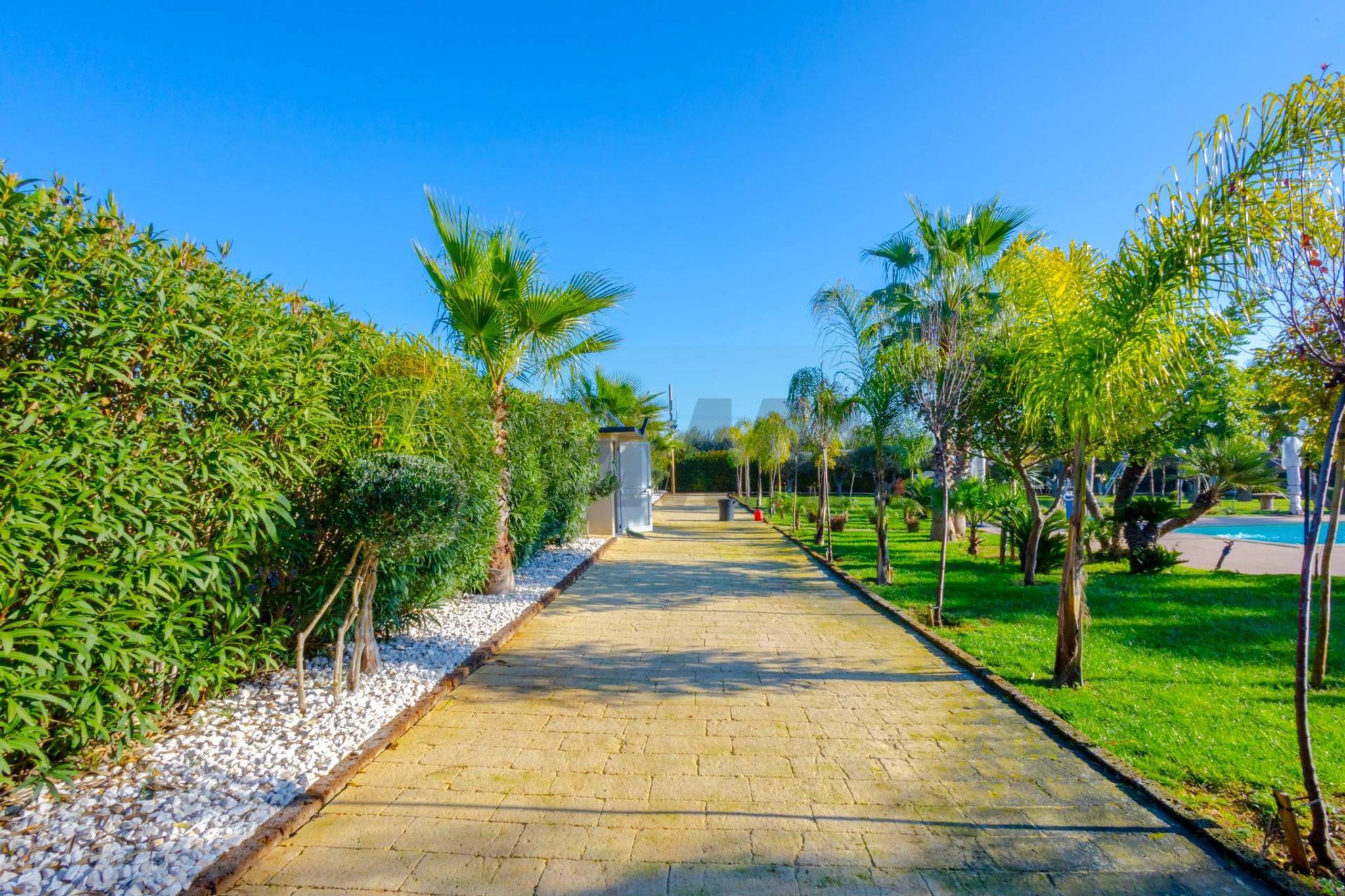 Giardino