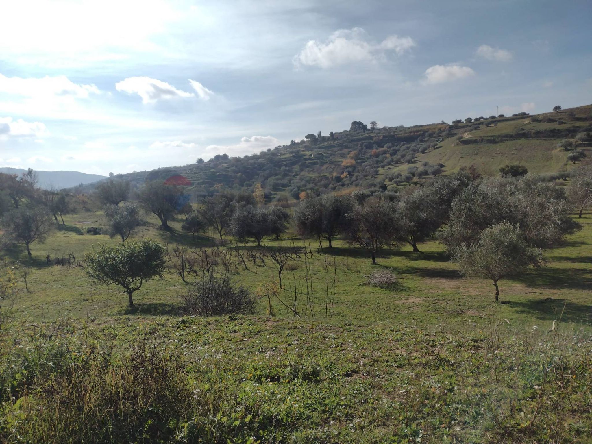 Vista delle montagne