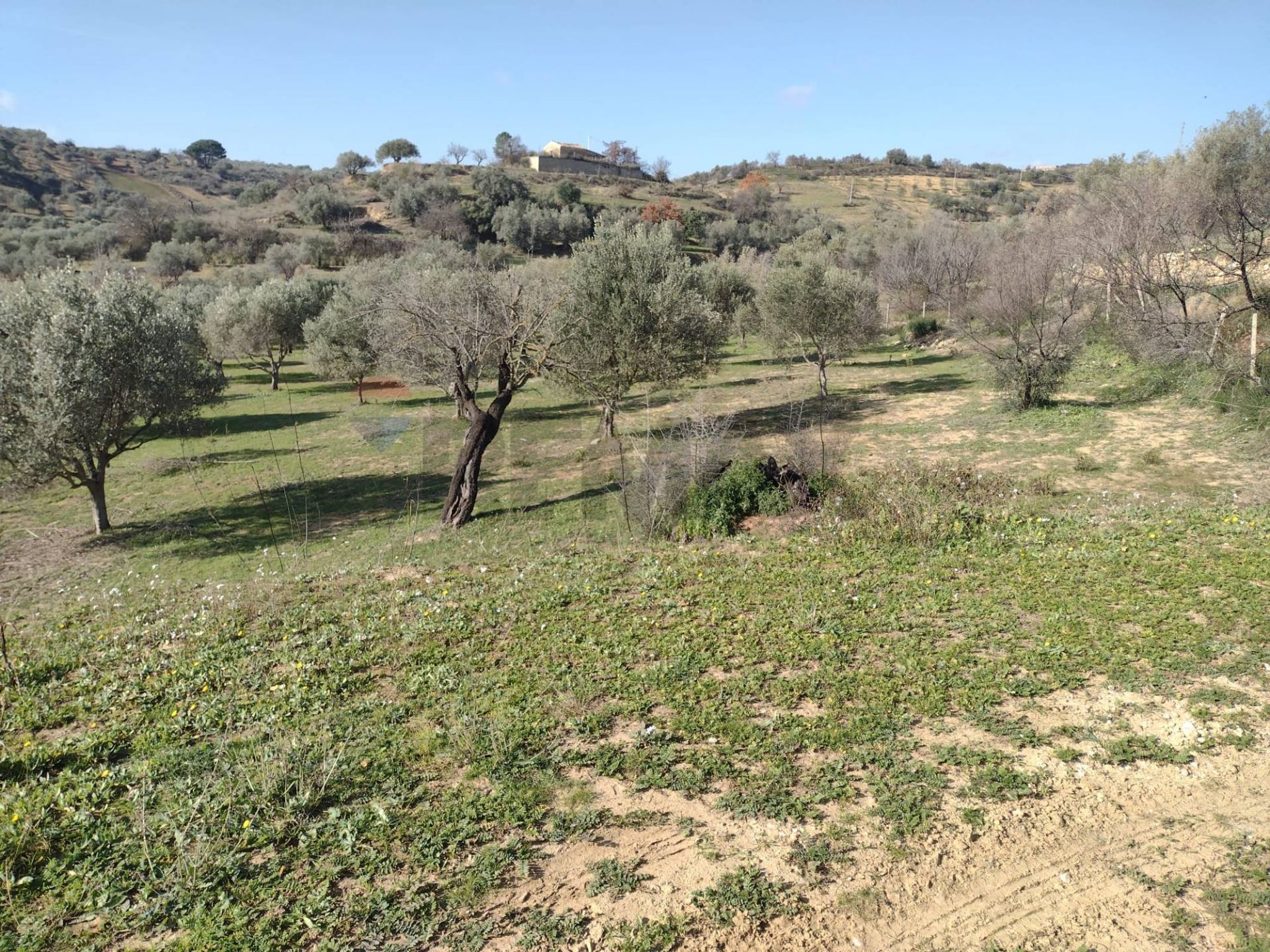 Vista delle montagne
