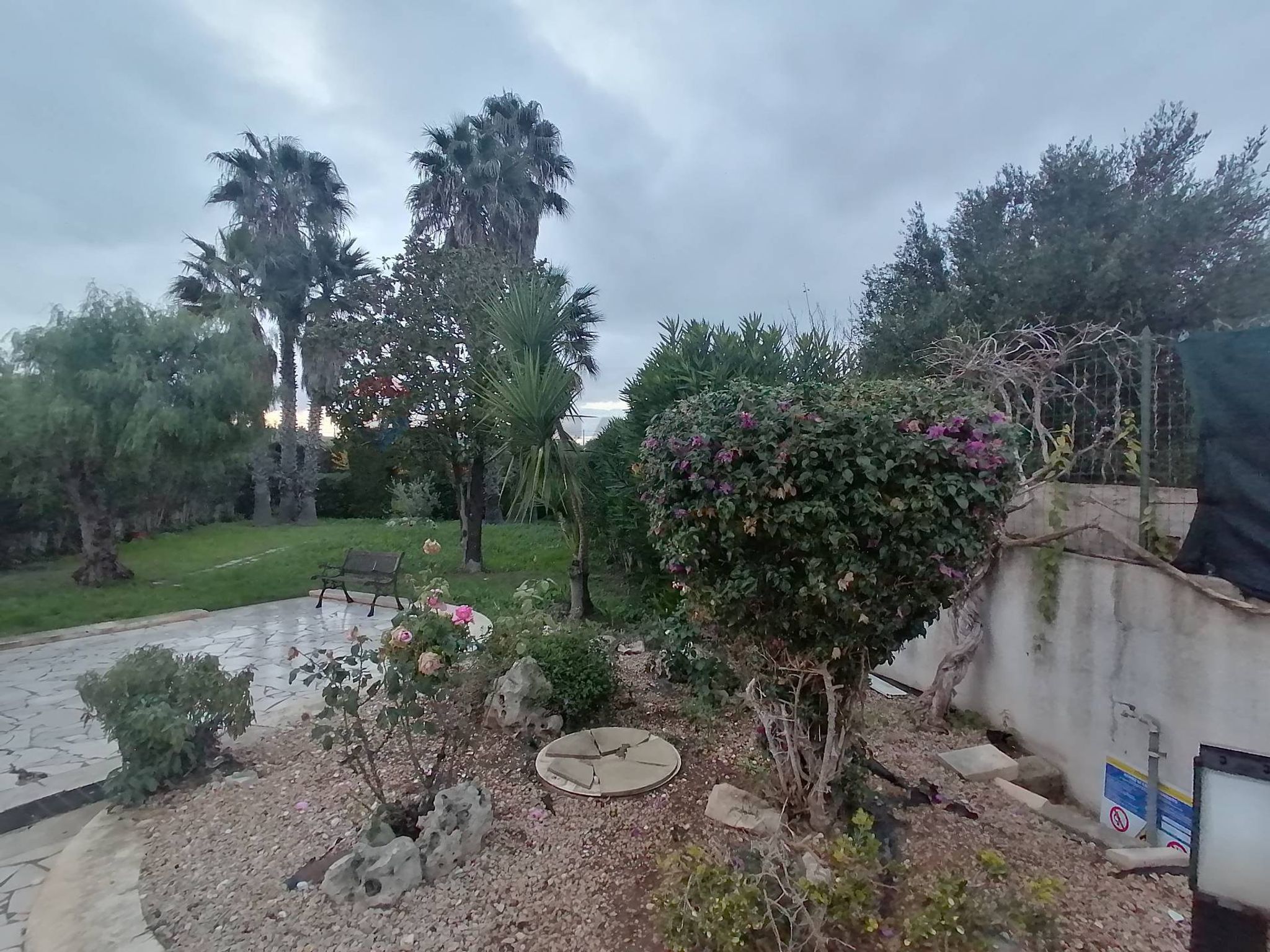 Giardino