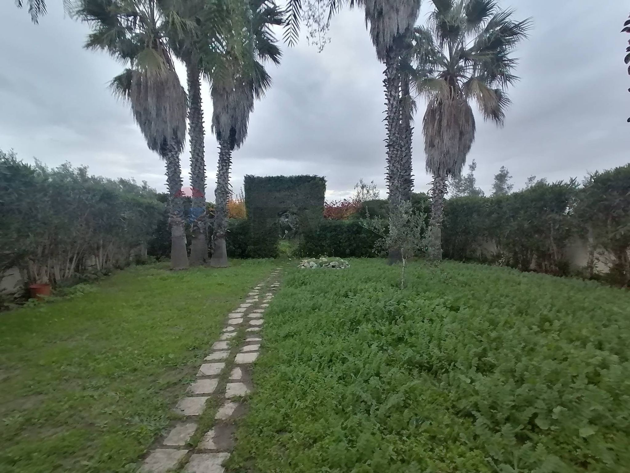 Giardino