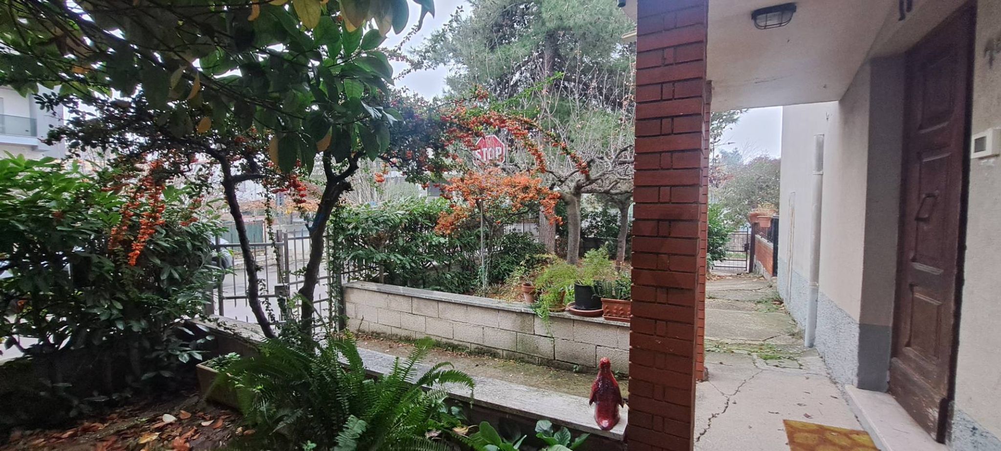 Giardino