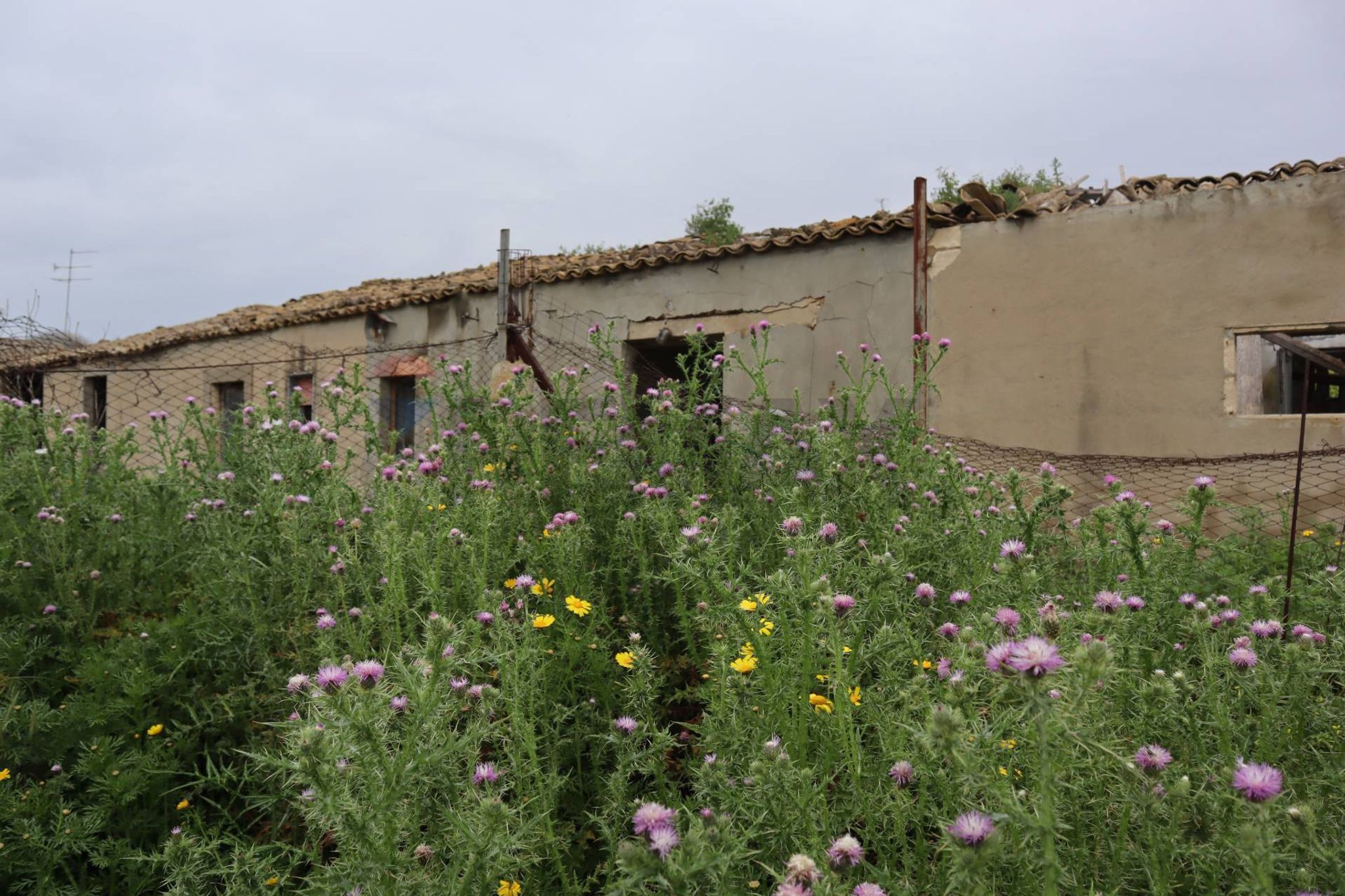 Edificio all'aperto