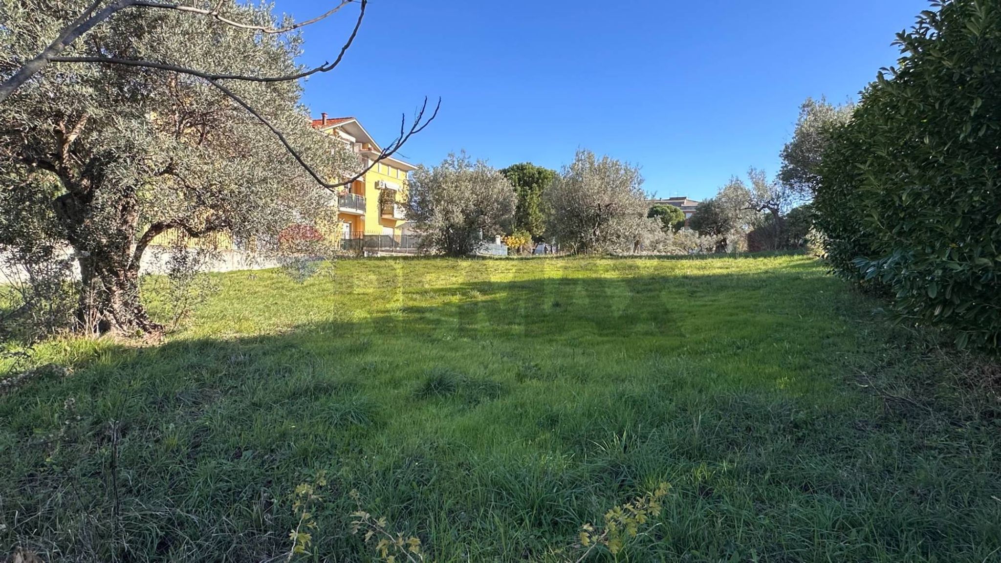 Giardino