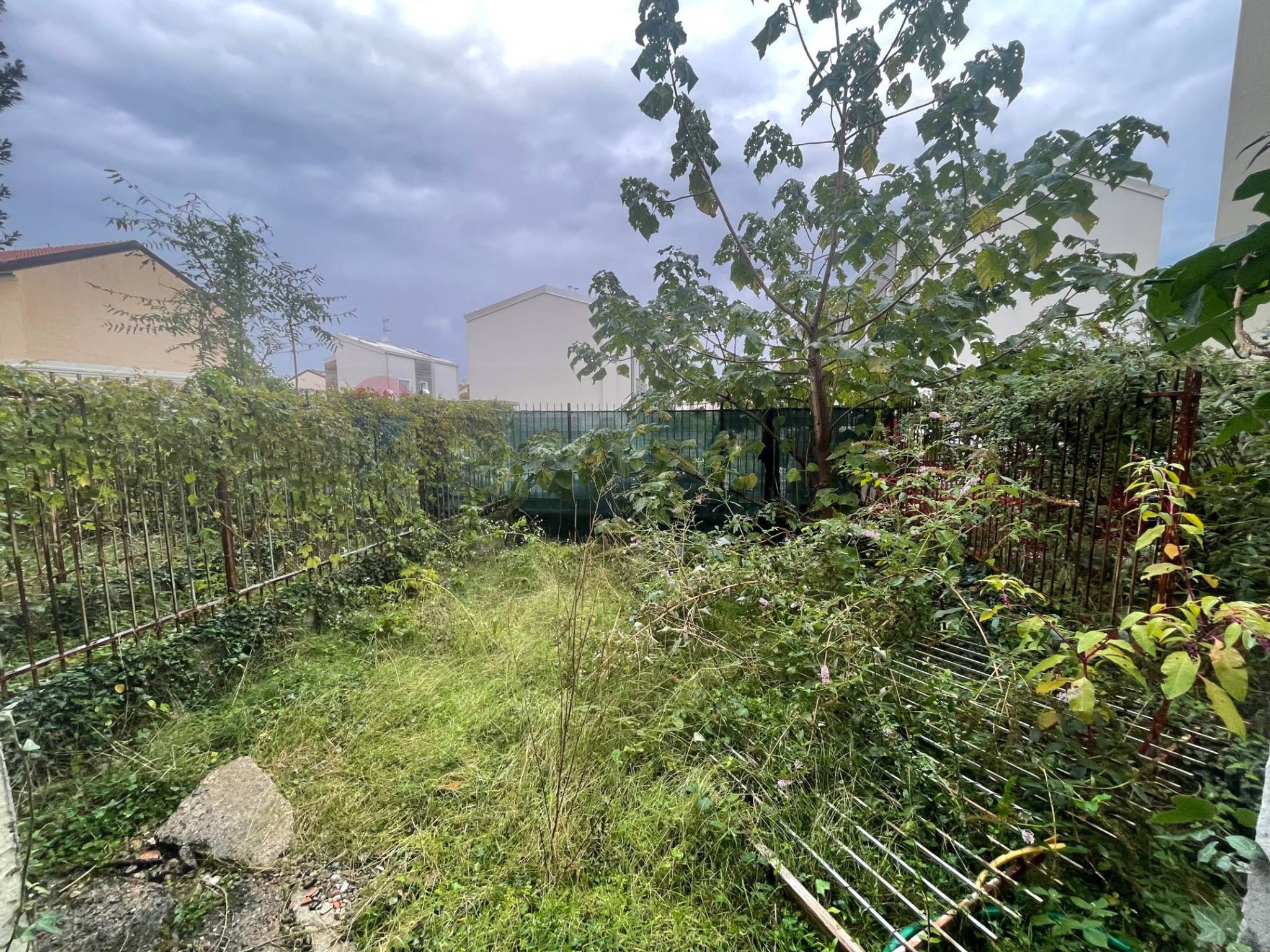 Giardino