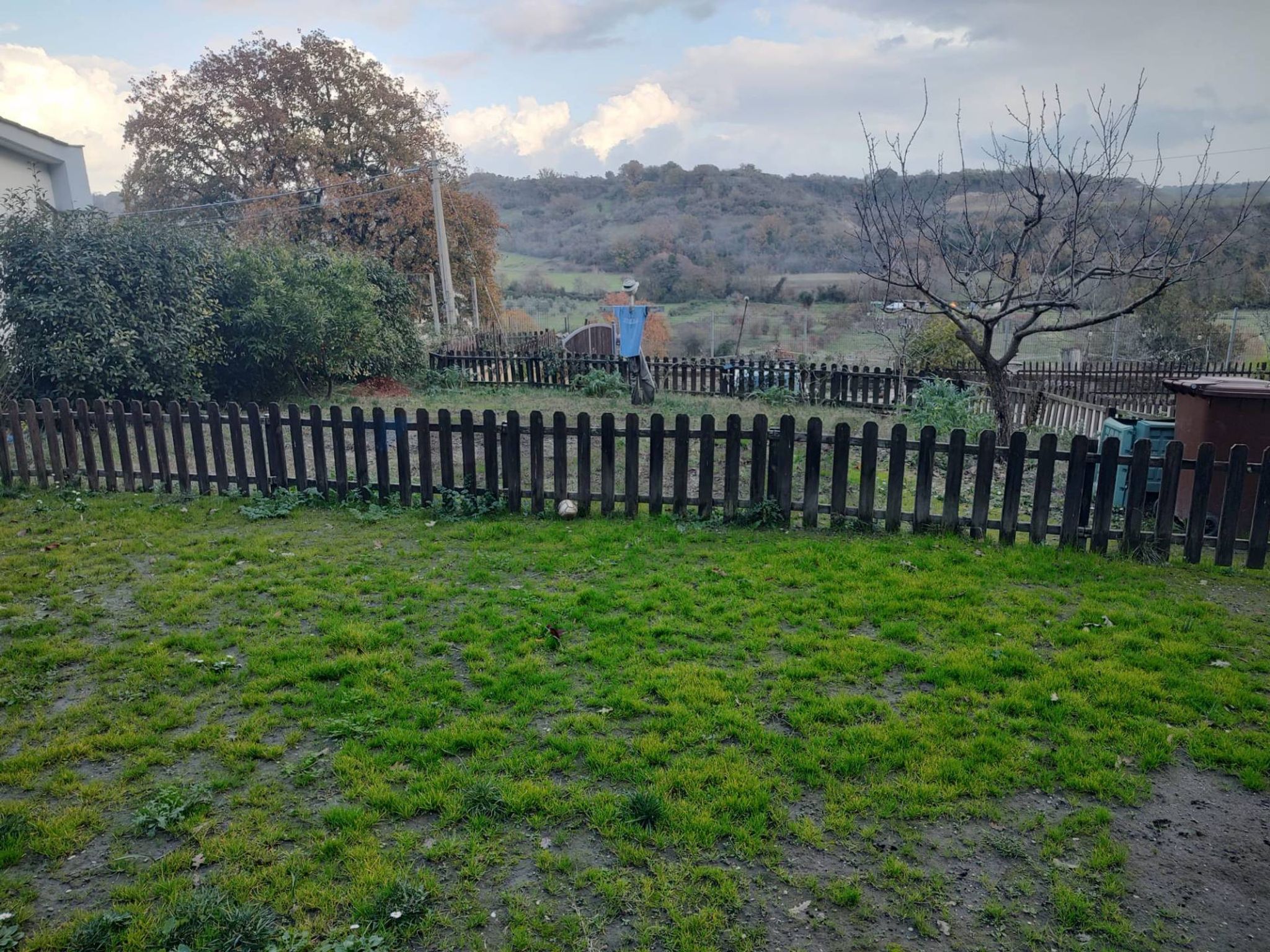 Giardino