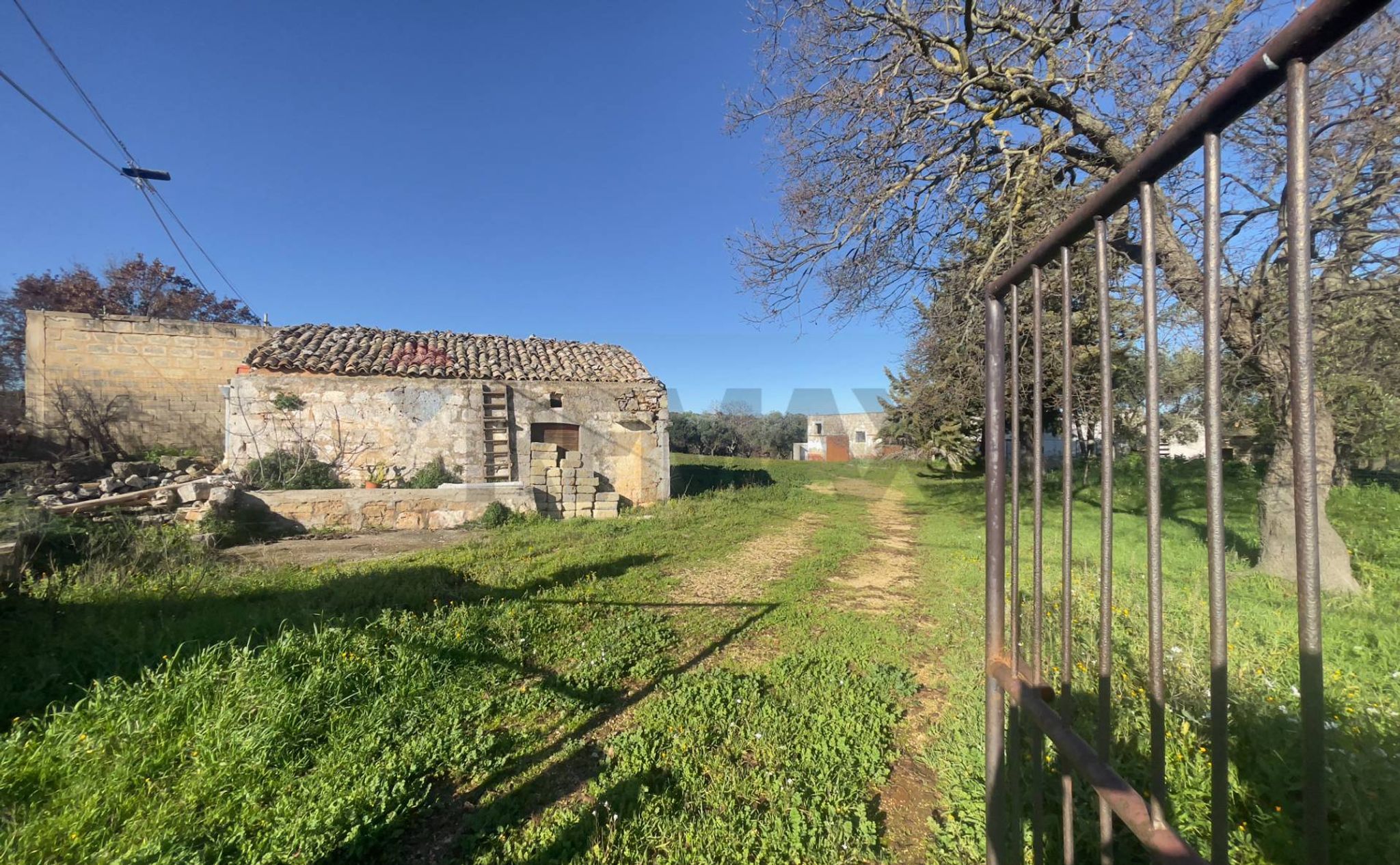 Giardino