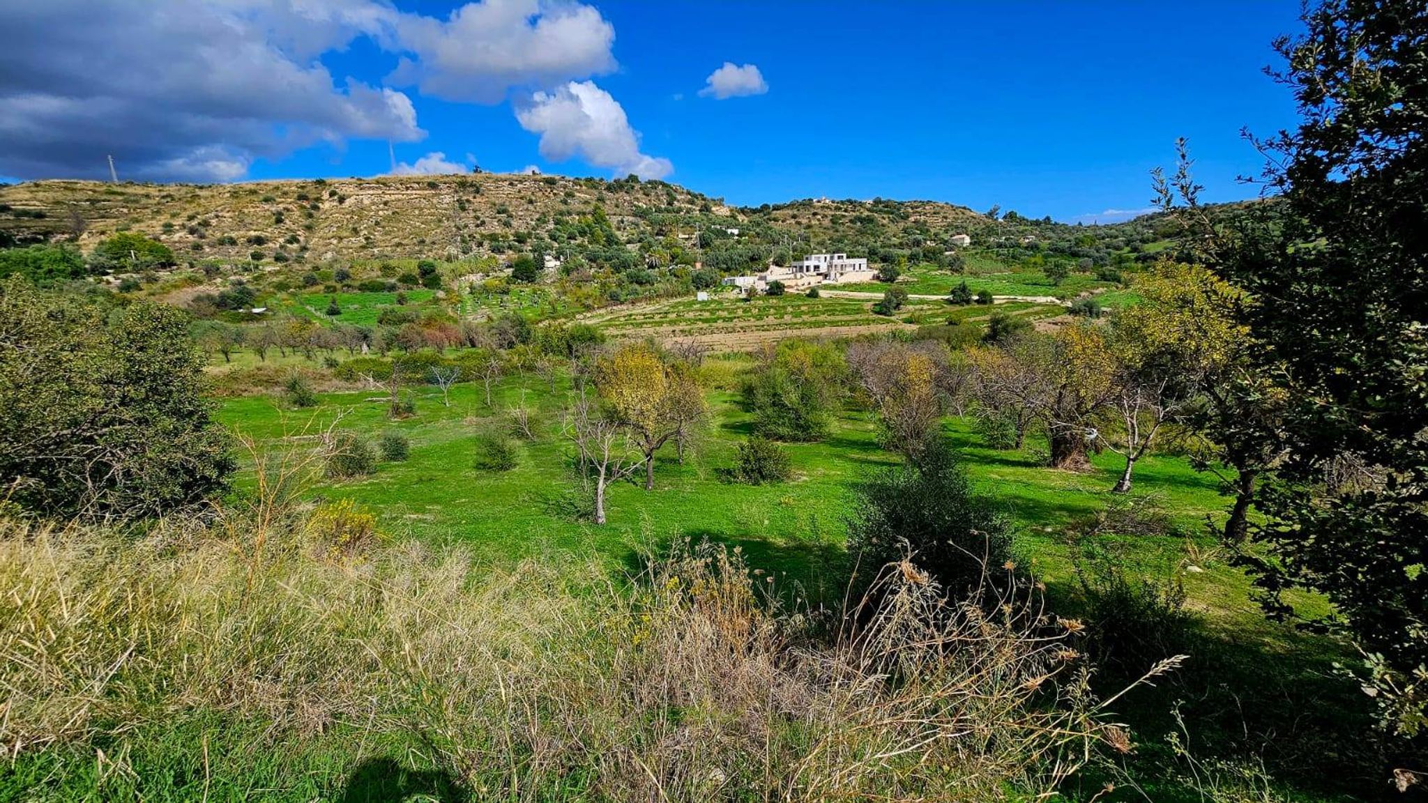 Vista delle montagne