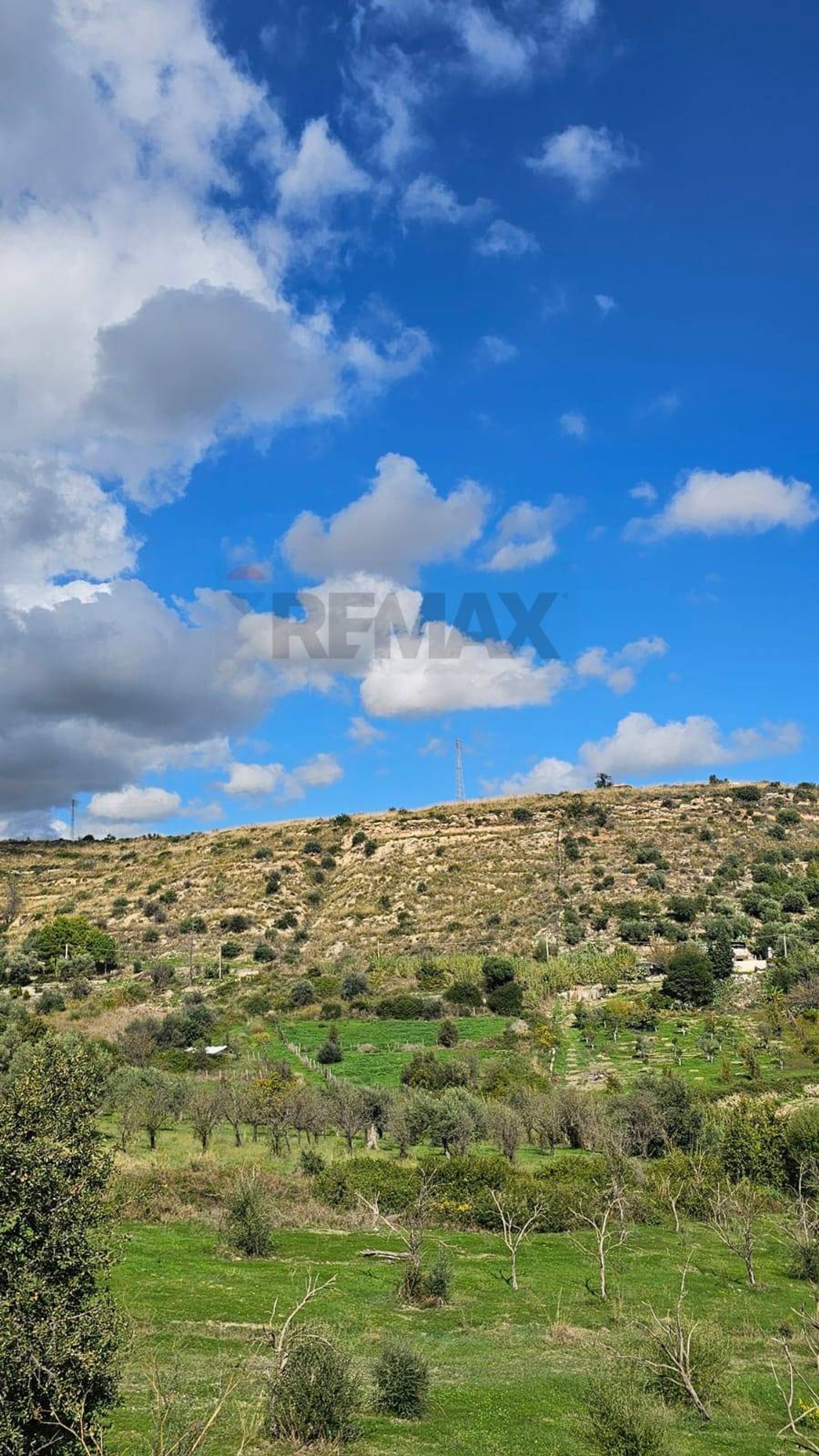 Vista delle montagne