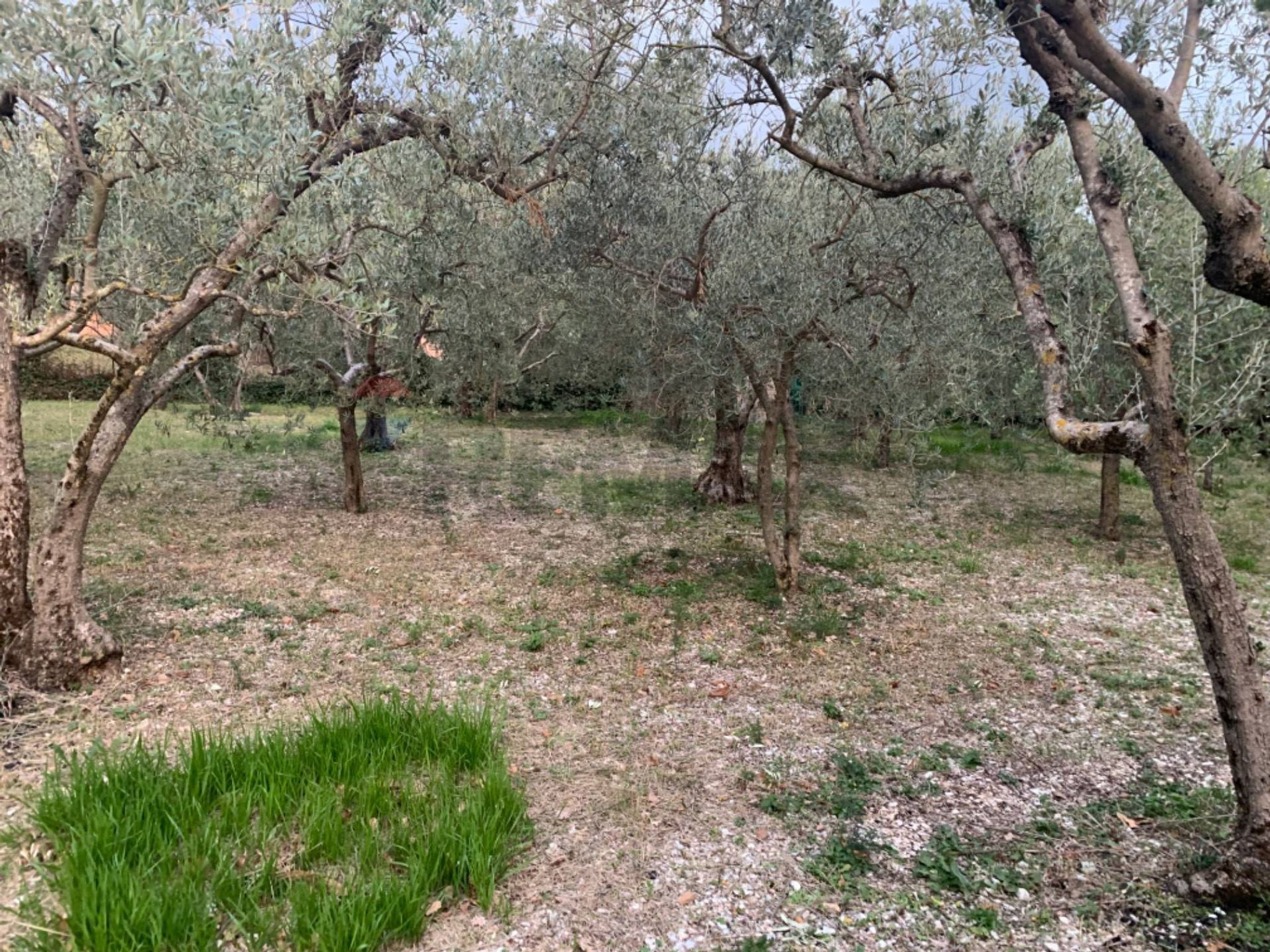 Immobile a Assisi
