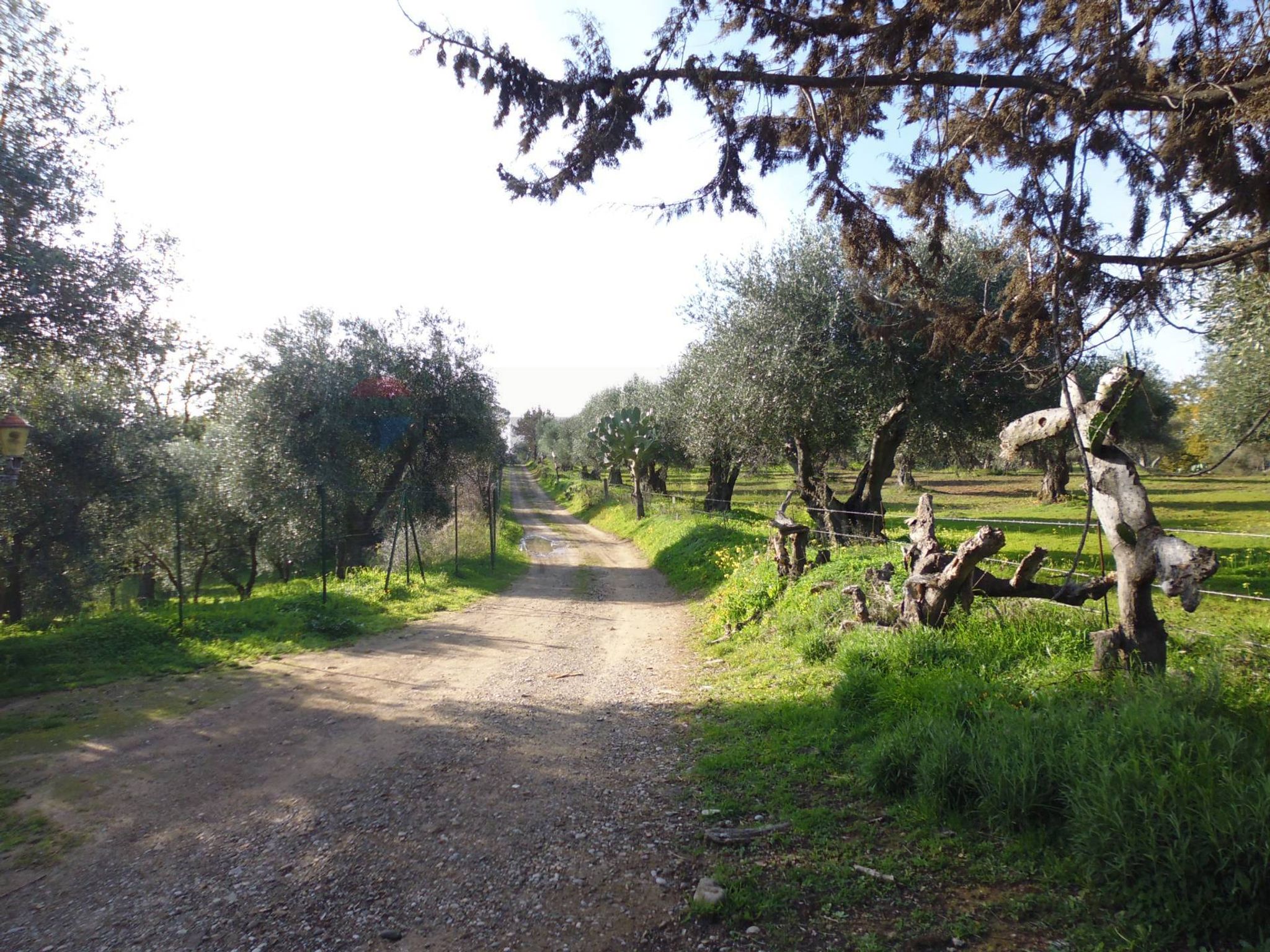 Immobile a Pisticci