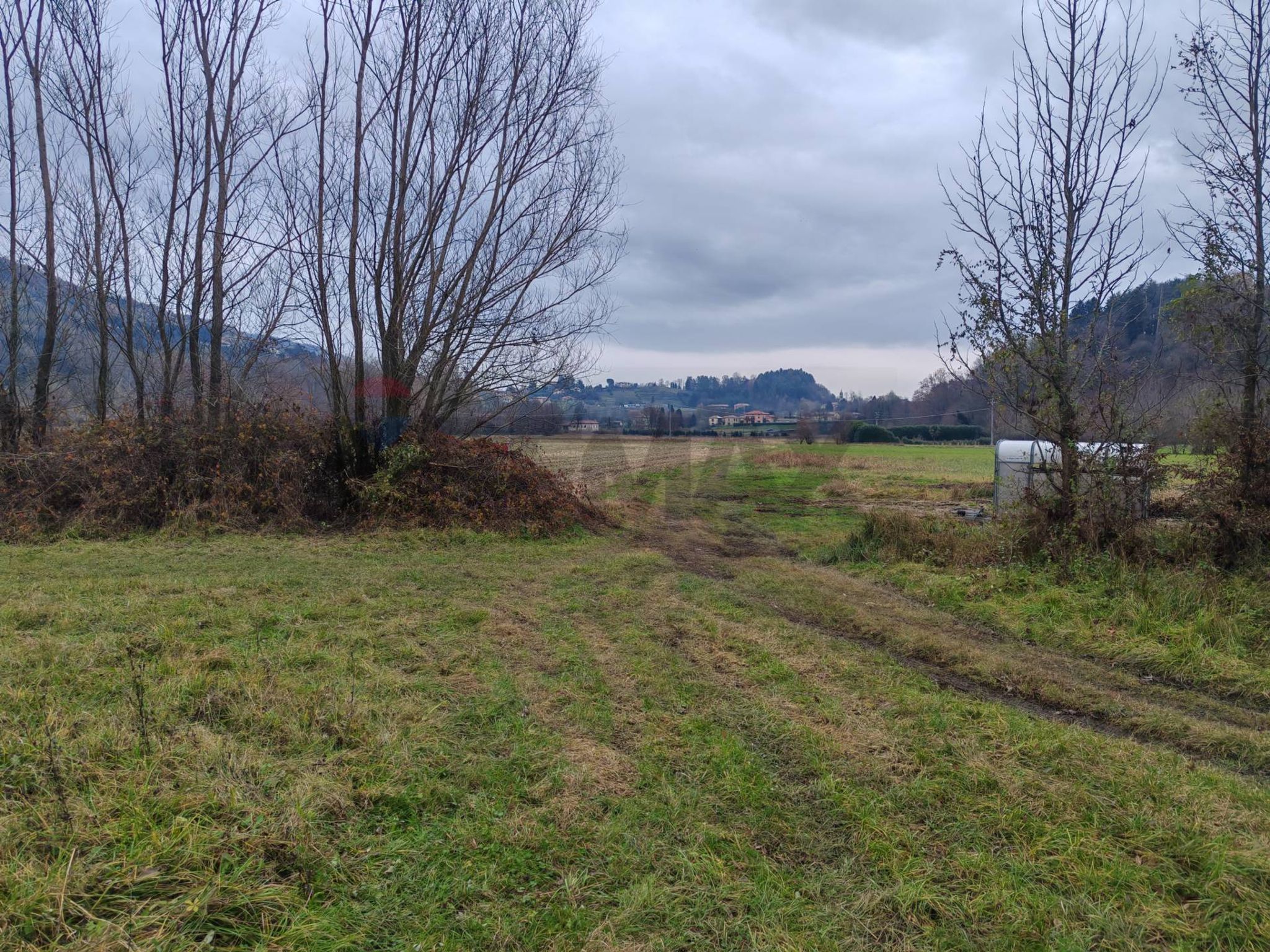 Vista delle montagne