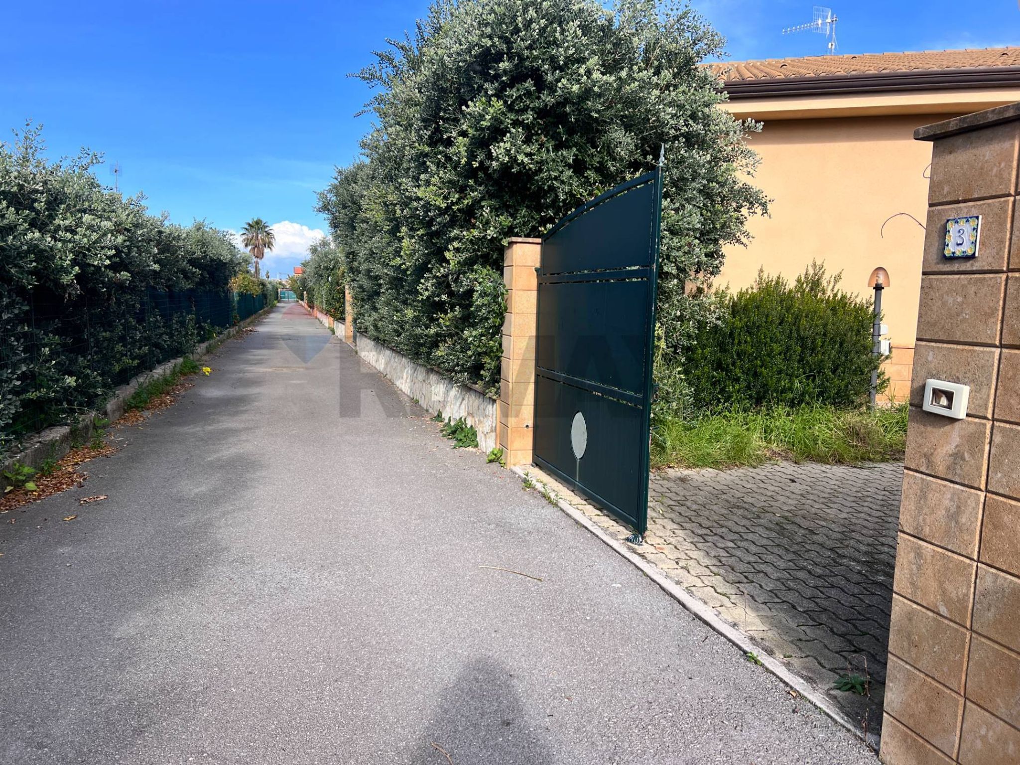 Non correlato